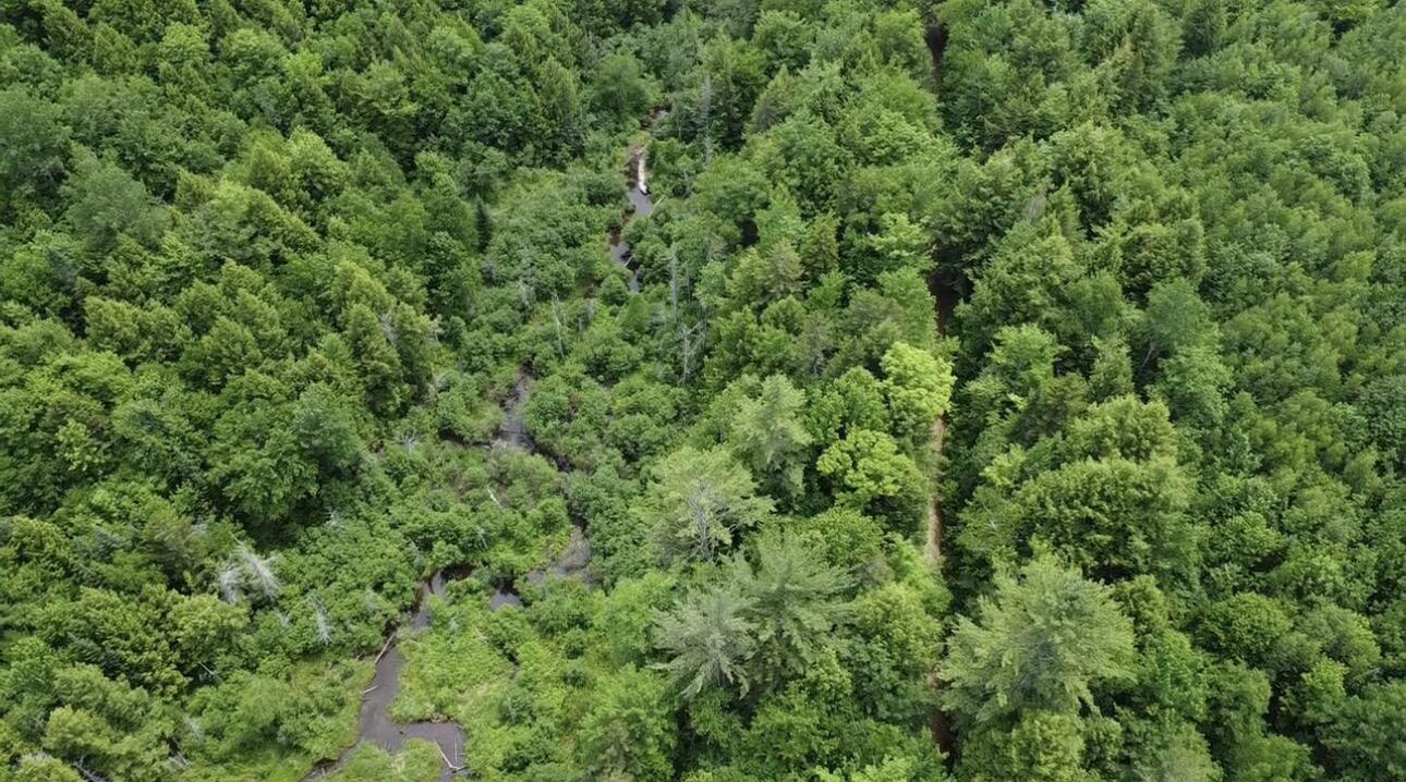 Lot 14 Hanslip Road Property Photo 8