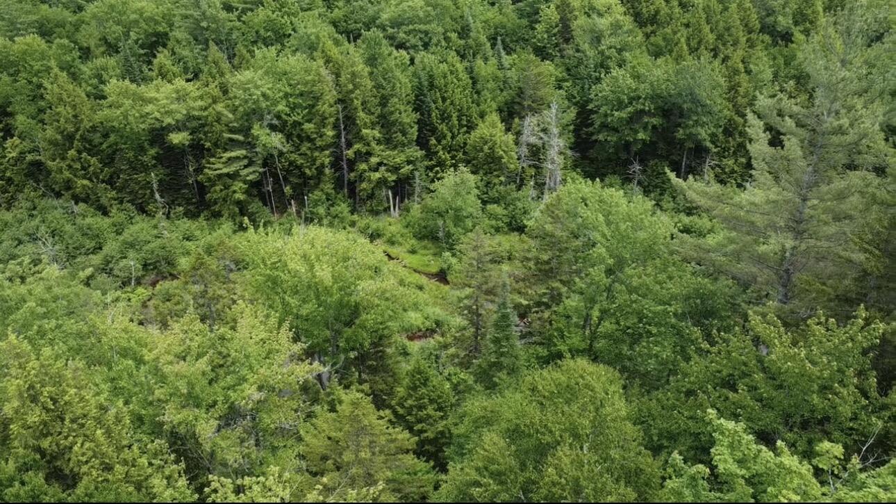 Lot 14 Hanslip Road Property Photo 9