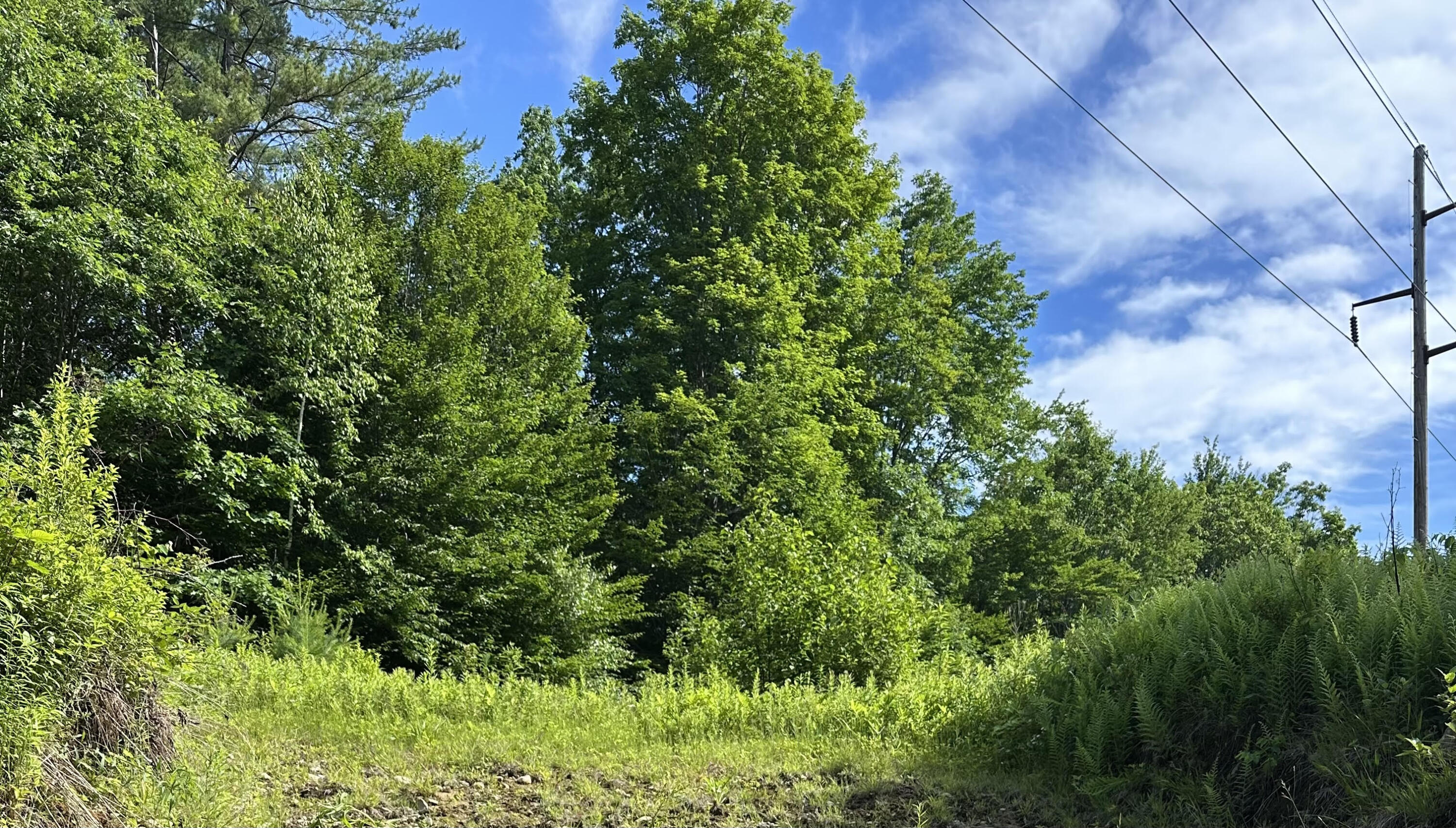 Lot 020 Canton Mountain Road Property Photo 1