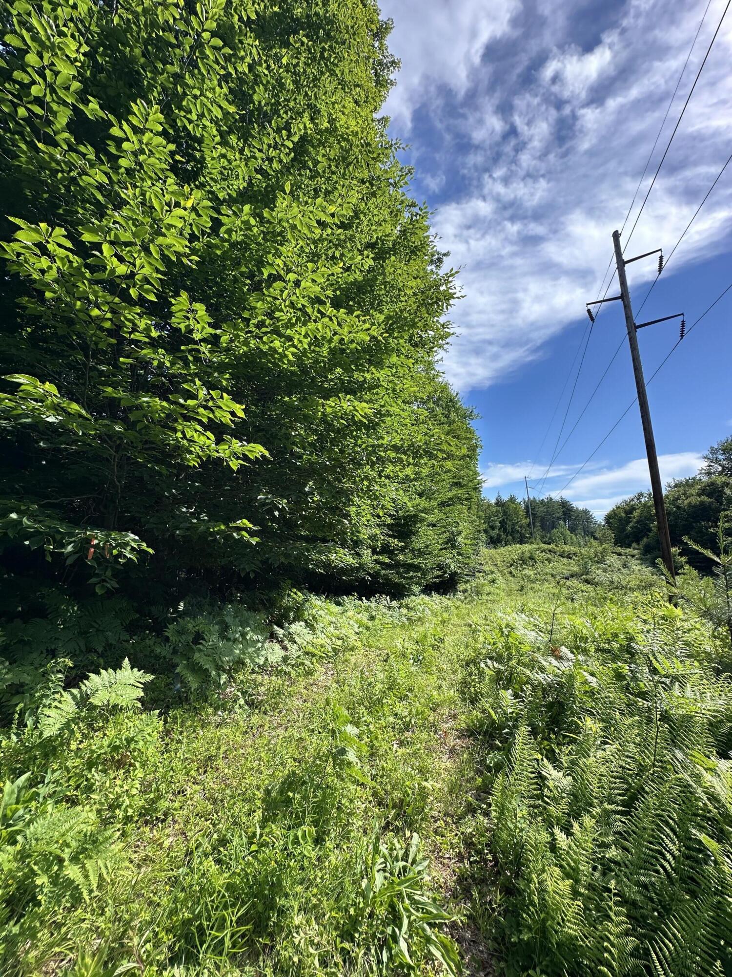 Lot 020 Canton Mountain Road Property Photo 6