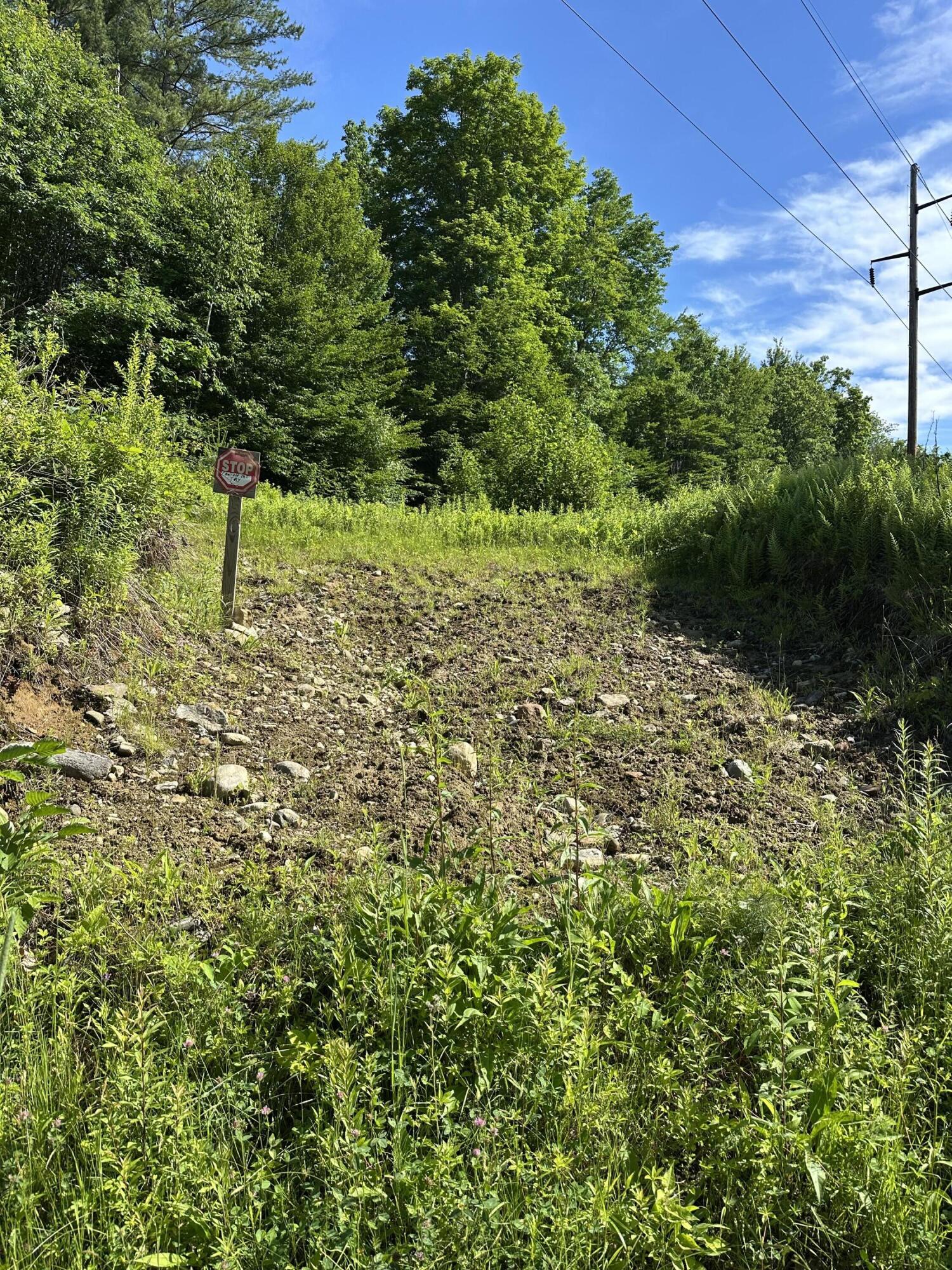 Lot 020 Canton Mountain Road Property Photo 7