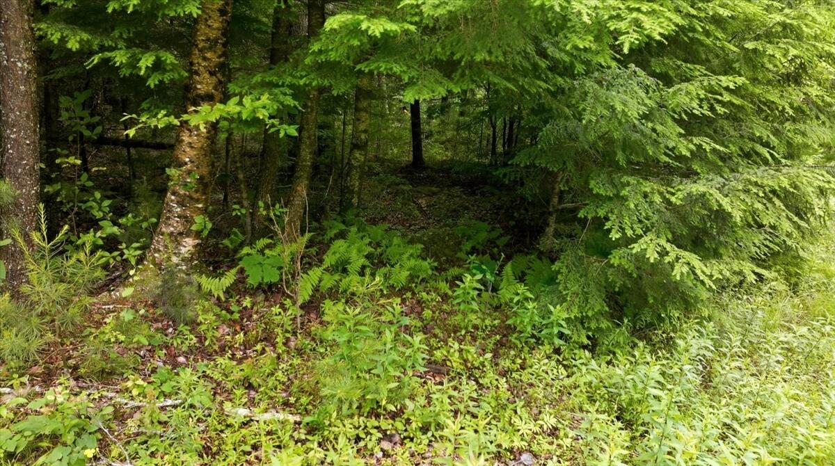 Lot 08 Sara's Way Property Photo 4