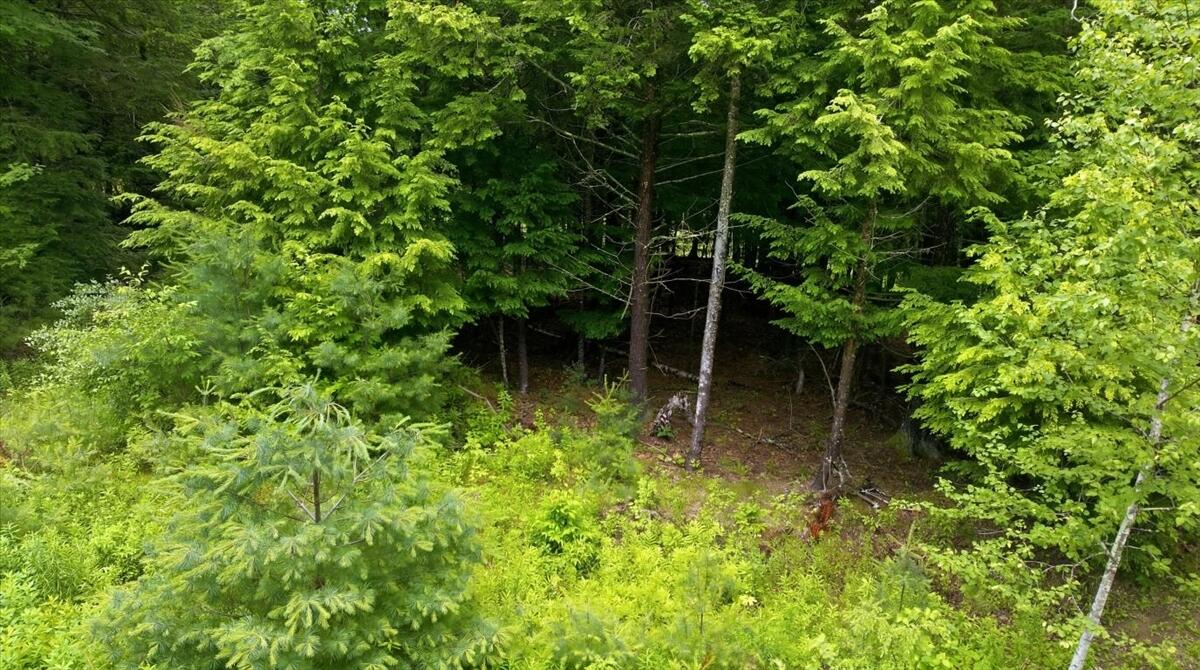 Lot 08 Sara's Way Property Photo 5