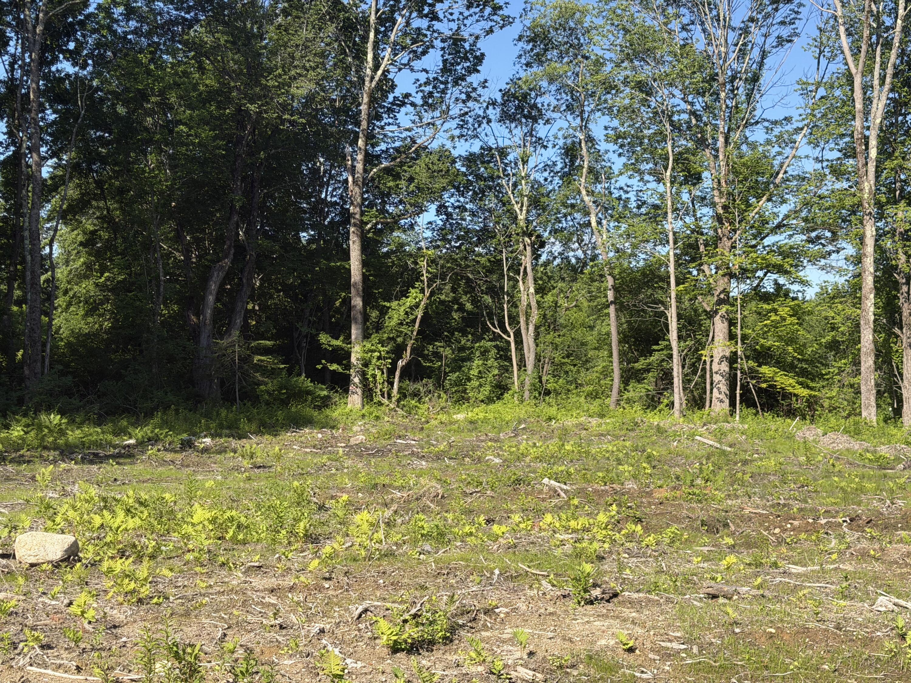 Lot #2 High Point Road