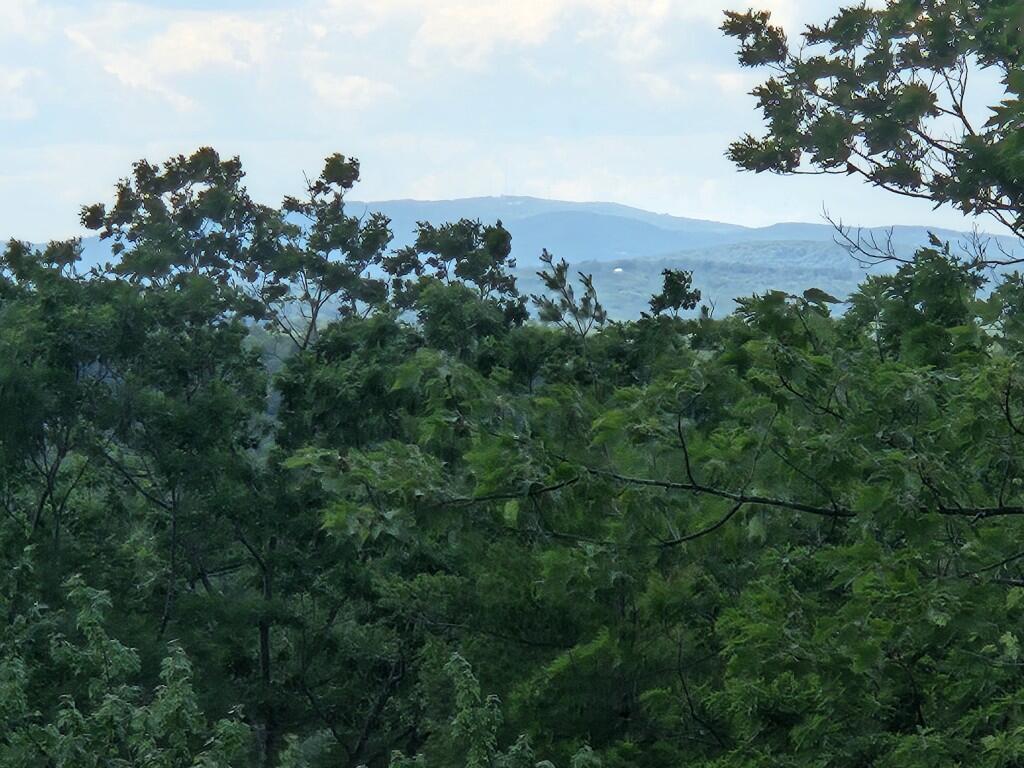 Multiple Quaker Ridge Road Property Photo 5