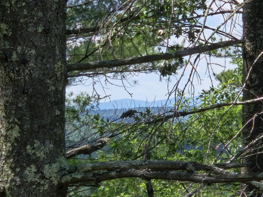 Multiple Quaker Ridge Road Property Photo 6