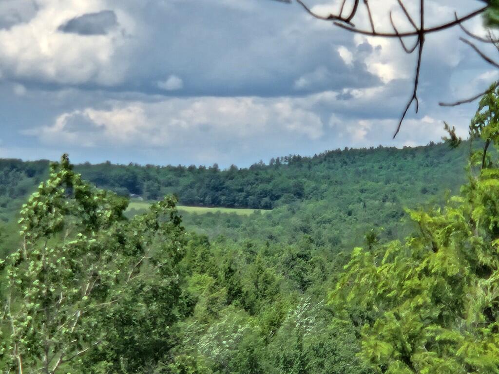 Multiple Quaker Ridge Road Property Photo 7