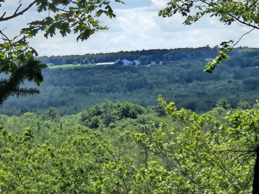 Multiple Quaker Ridge Road Property Photo 14