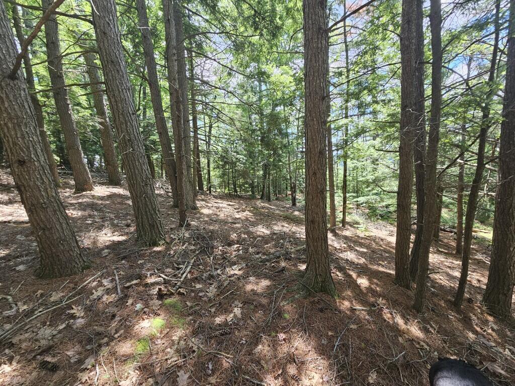 Multiple Quaker Ridge Road Property Photo 21