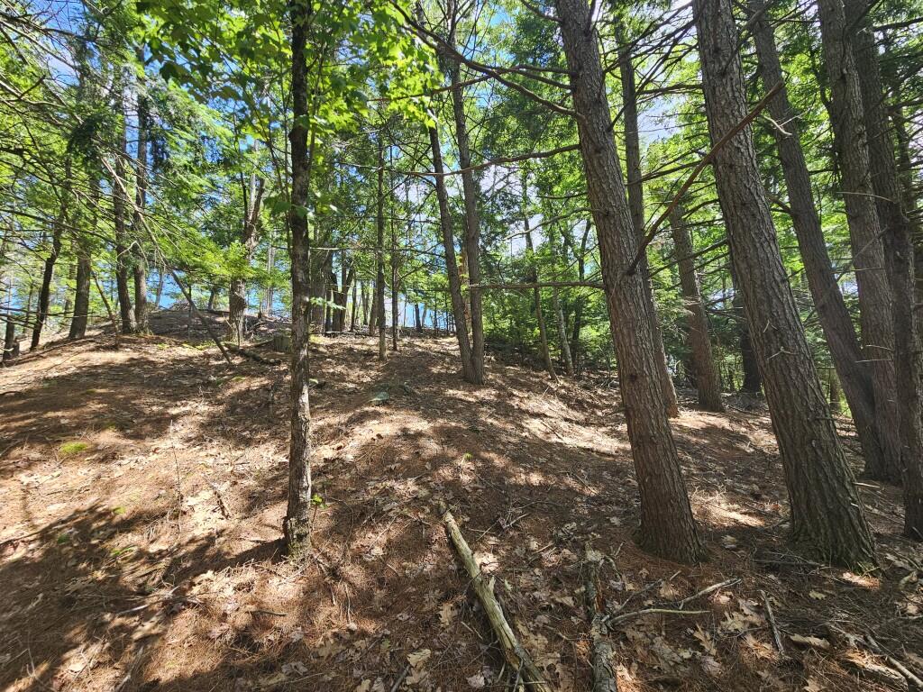 Multiple Quaker Ridge Road Property Photo 22