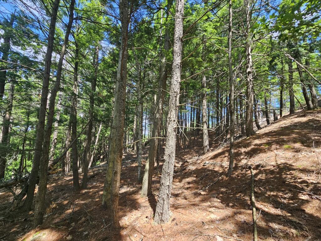 Multiple Quaker Ridge Road Property Photo 23