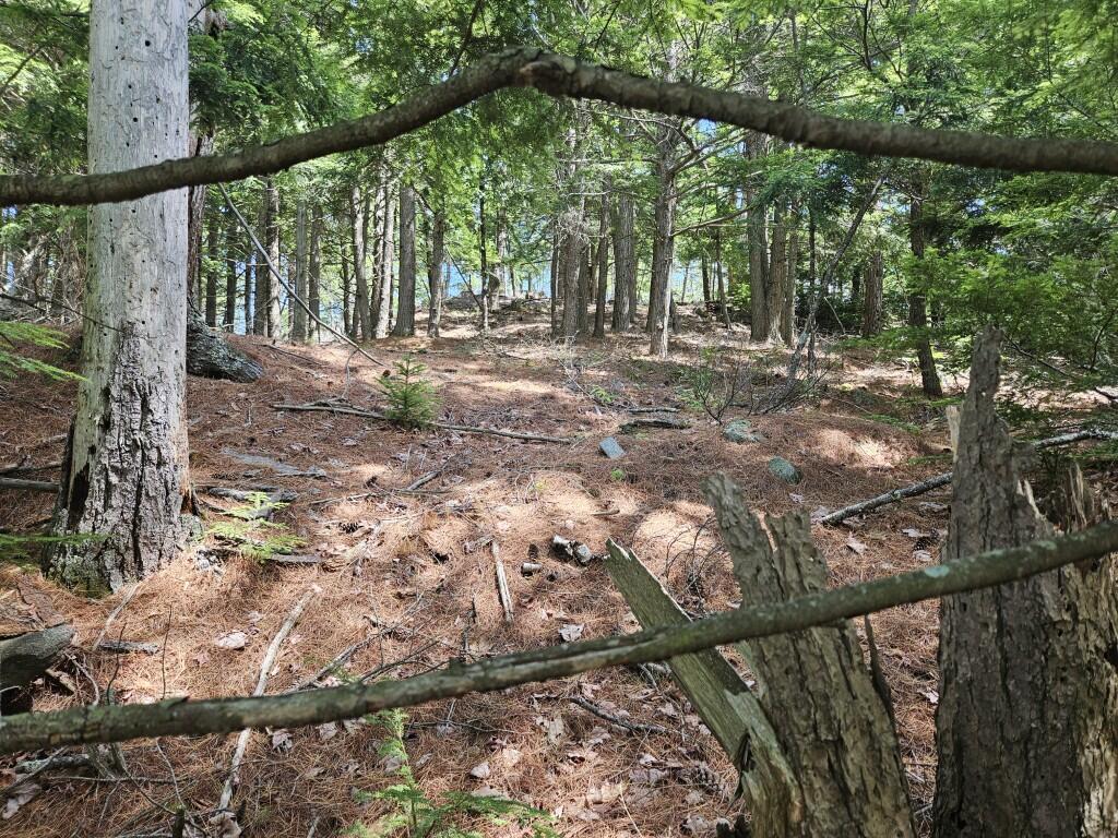 Multiple Quaker Ridge Road Property Photo 24