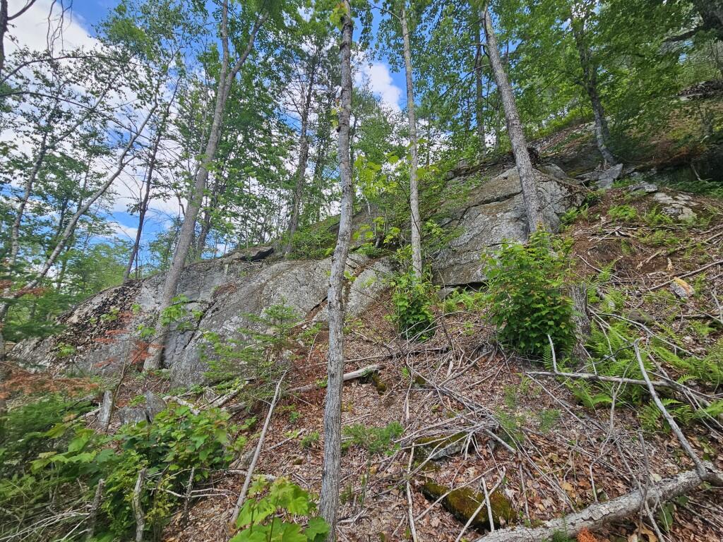 Multiple Quaker Ridge Road Property Photo 26