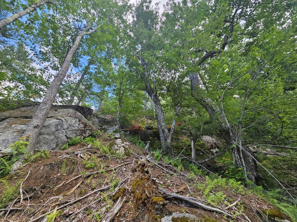 Multiple Quaker Ridge Road Property Photo 27