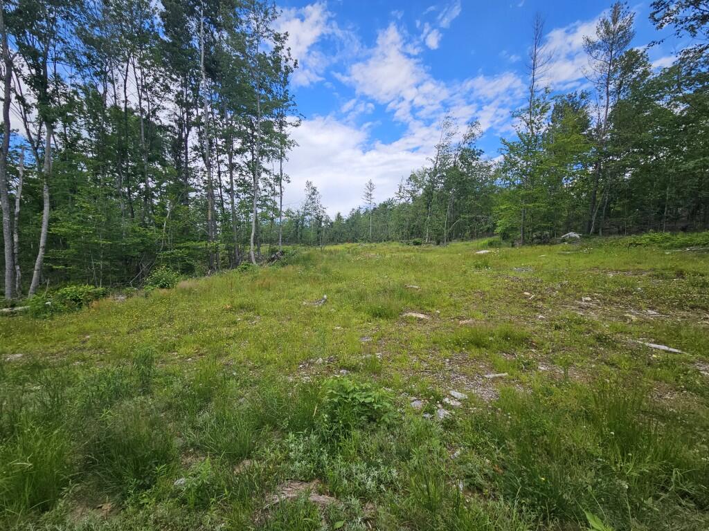 Multiple Quaker Ridge Road Property Photo 31