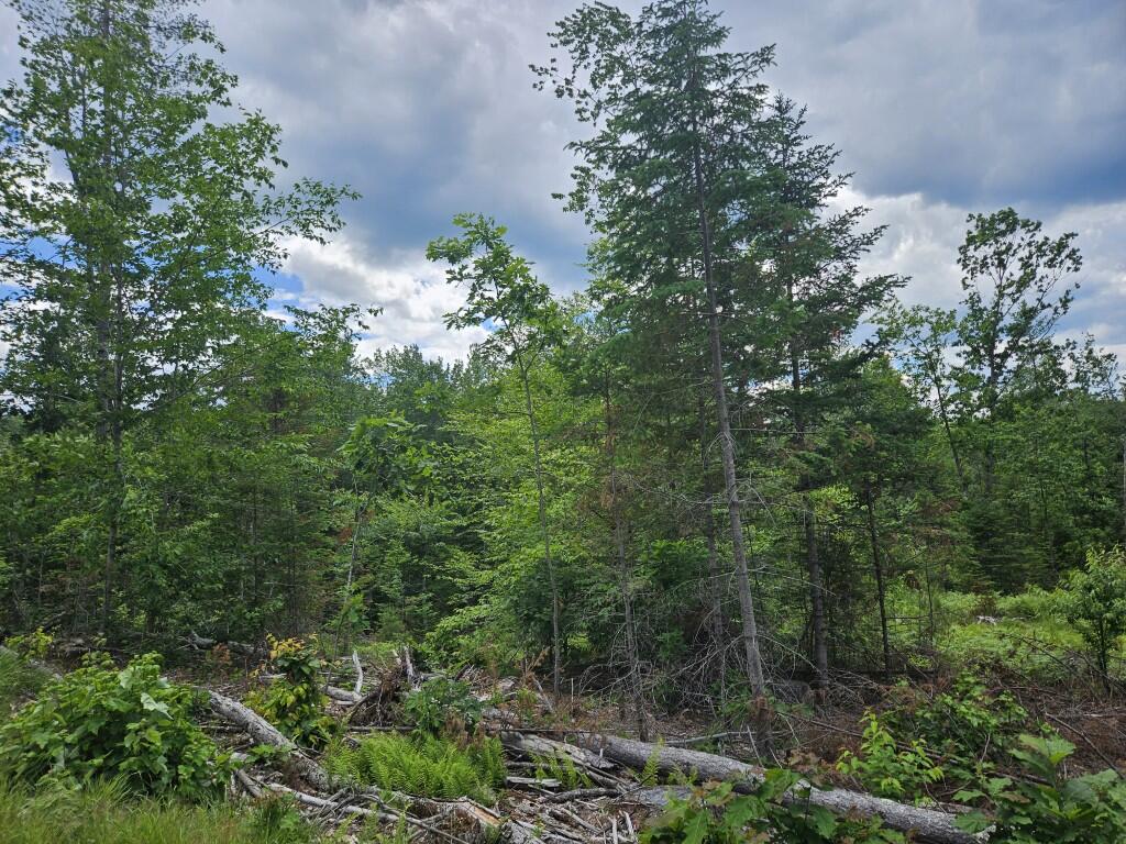 Multiple Quaker Ridge Road Property Photo 33