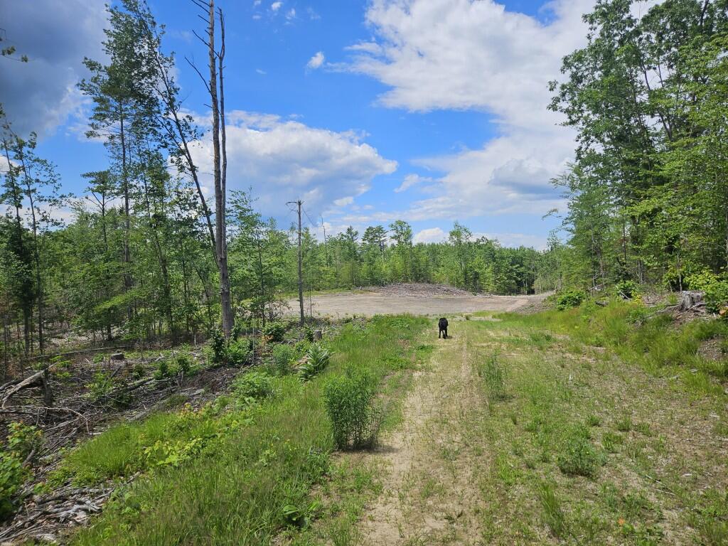 Multiple Quaker Ridge Road Property Photo 34