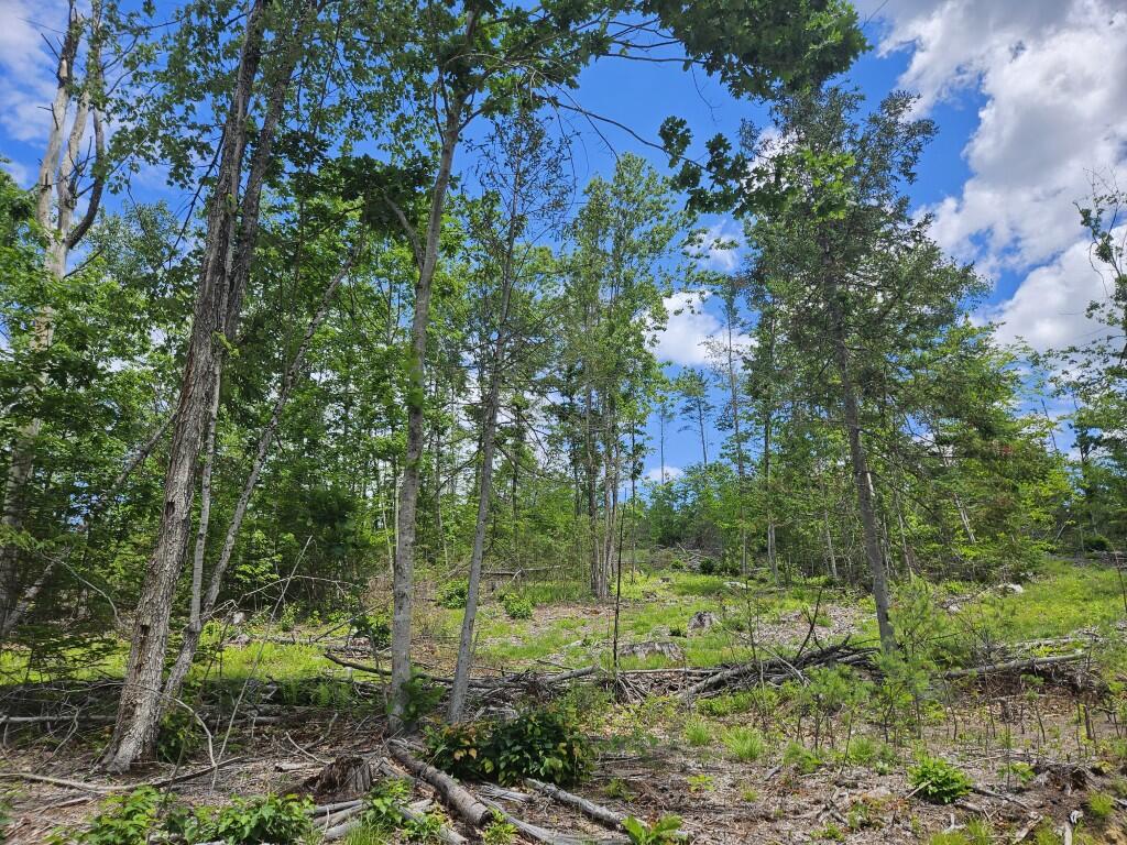 Multiple Quaker Ridge Road Property Photo 35