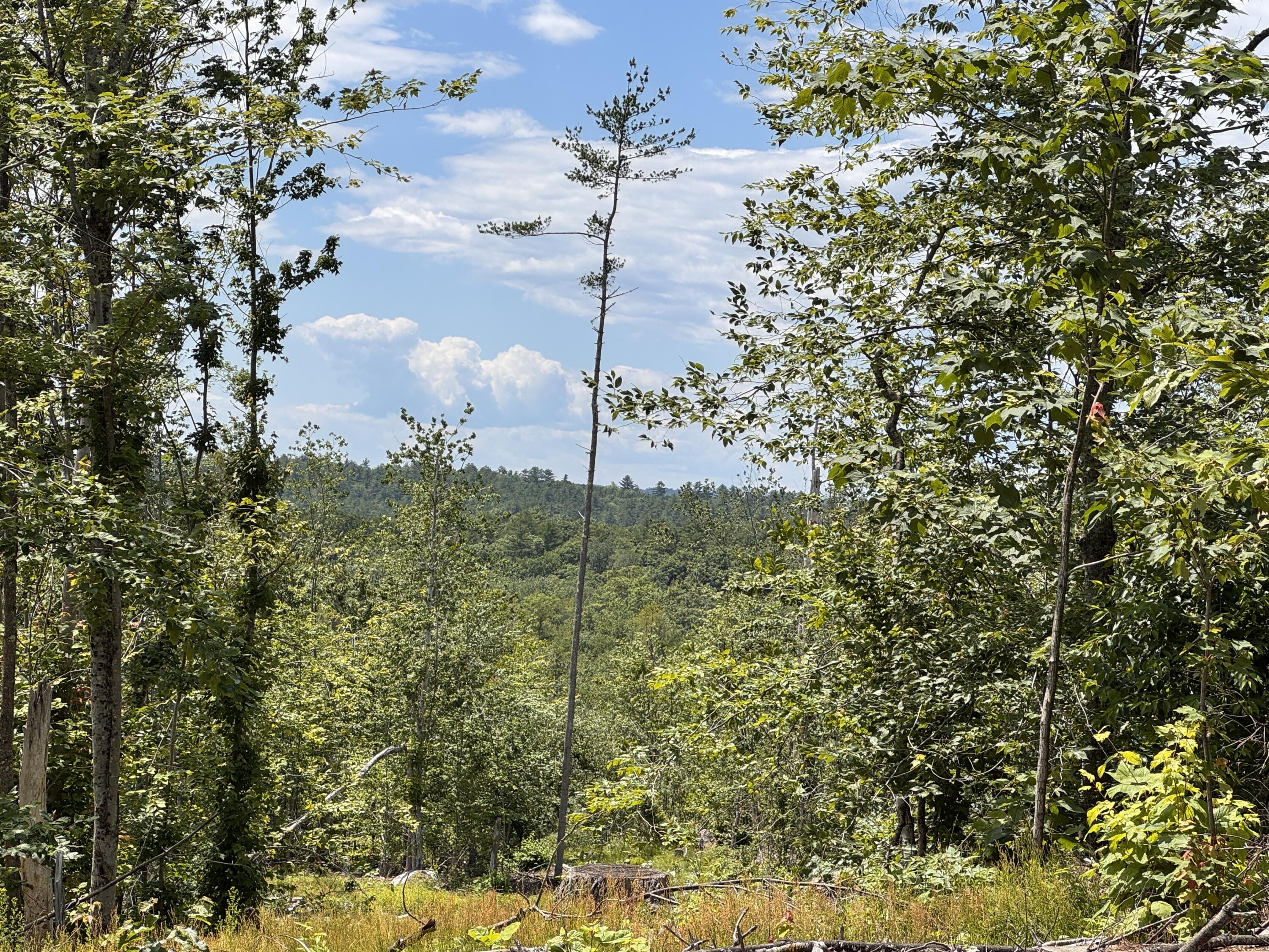 Multiple Quaker Ridge Road Property Photo 38