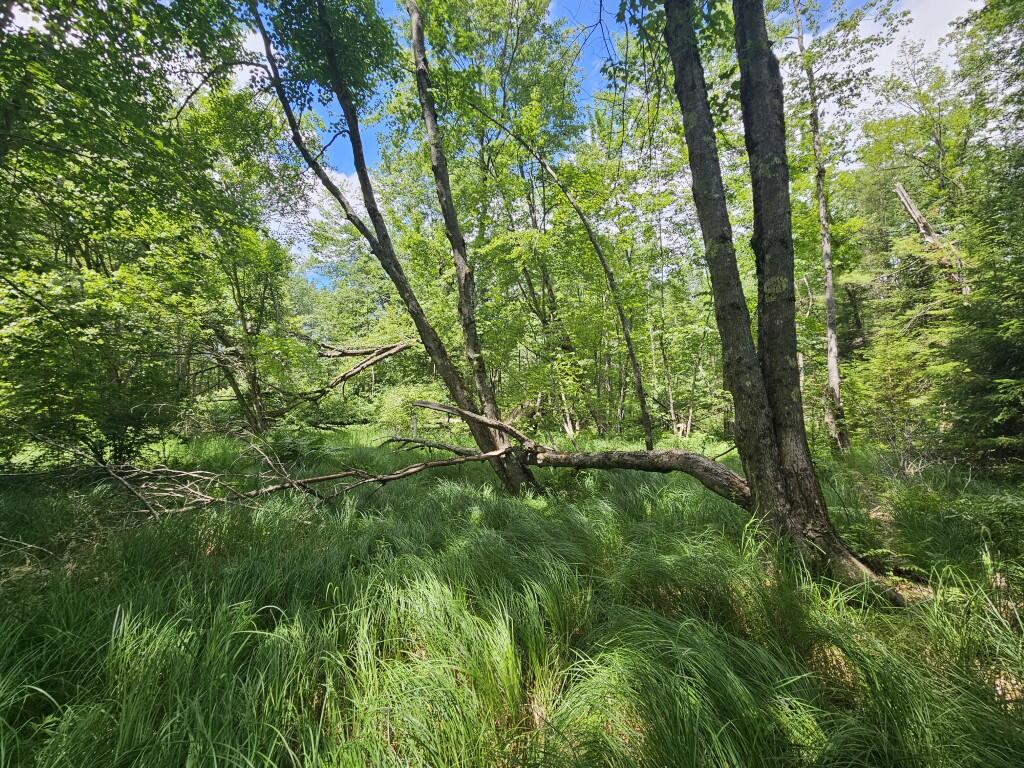 Multiple Quaker Ridge Road Property Photo 42