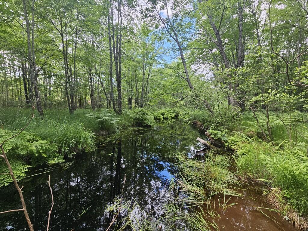 Multiple Quaker Ridge Road Property Photo 44