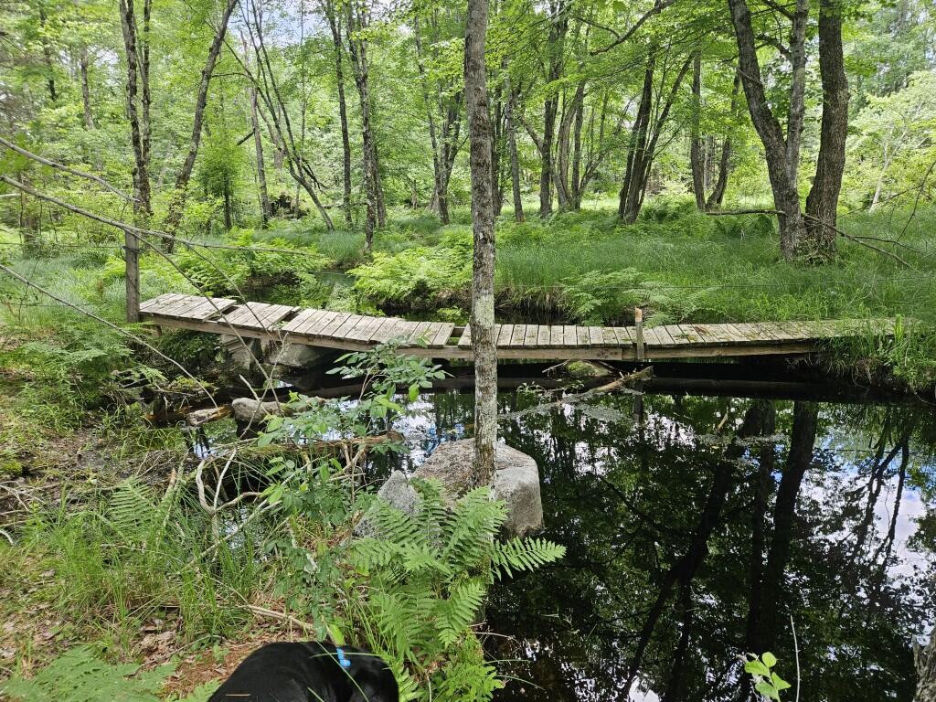 Multiple Quaker Ridge Road Property Photo 45
