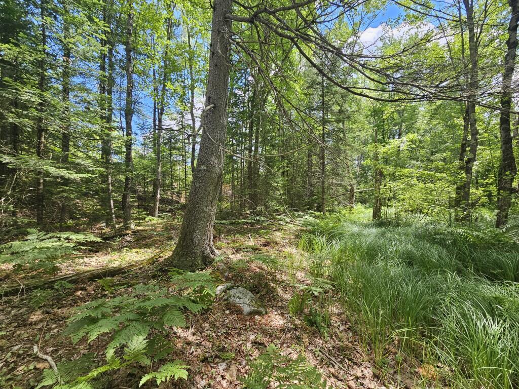 Multiple Quaker Ridge Road Property Photo 46