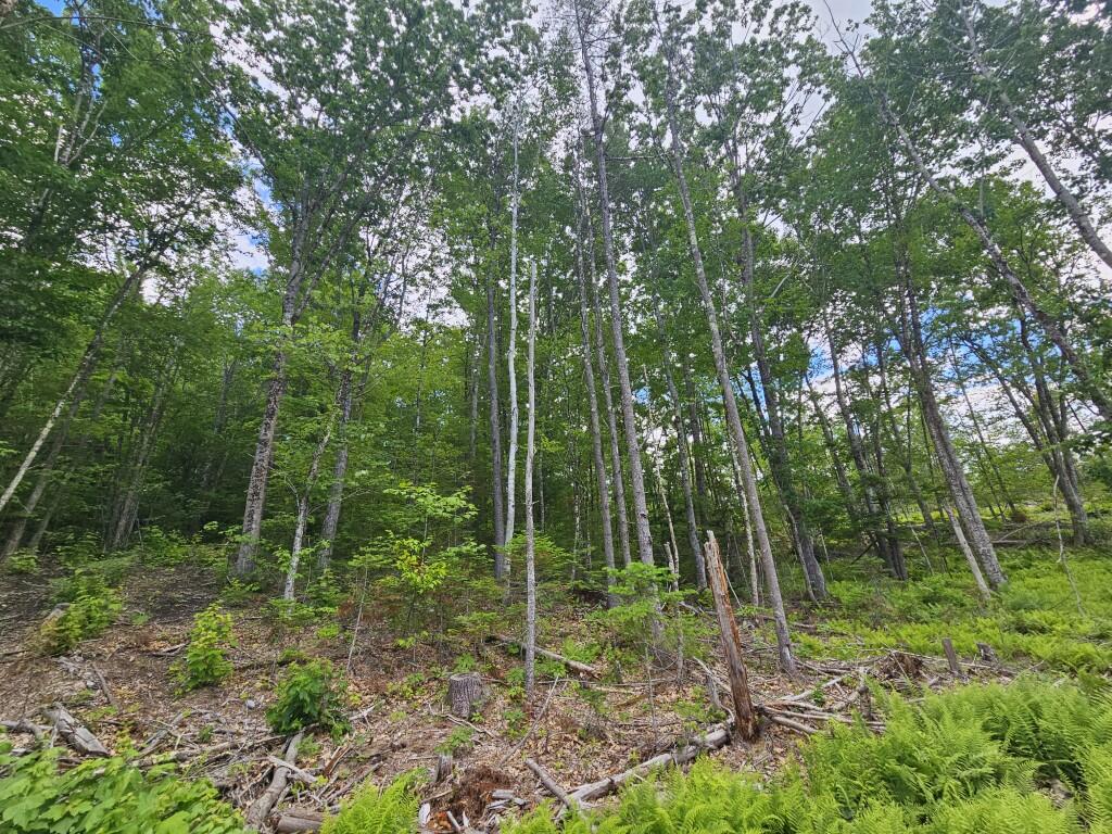 Multiple Quaker Ridge Road Property Photo 51