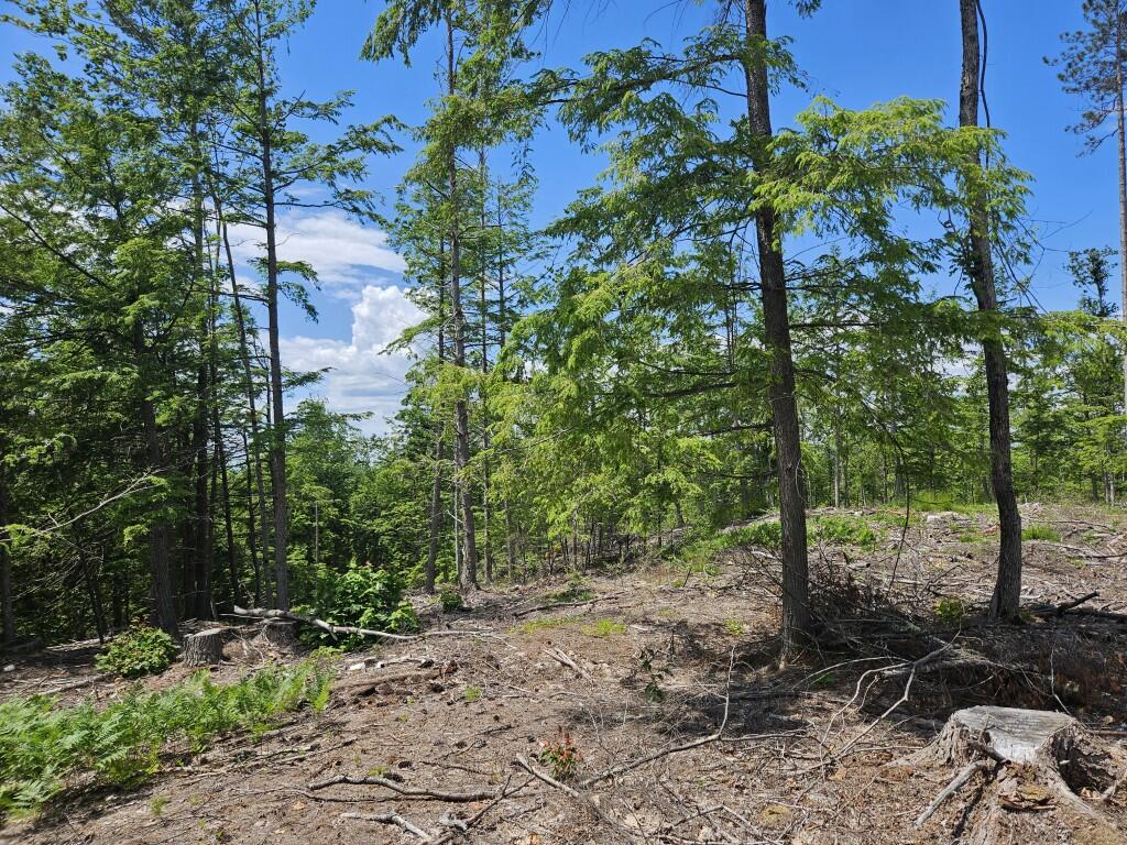 Multiple Quaker Ridge Road Property Photo 52