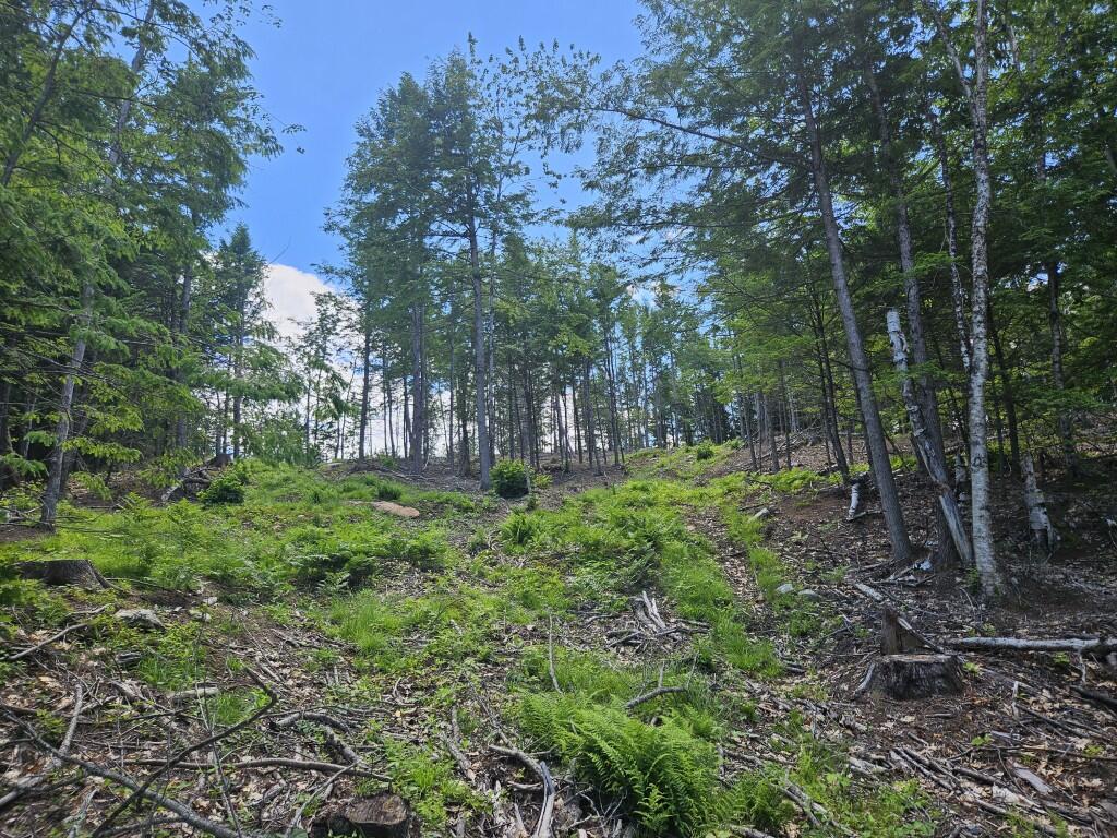 Multiple Quaker Ridge Road Property Photo 55