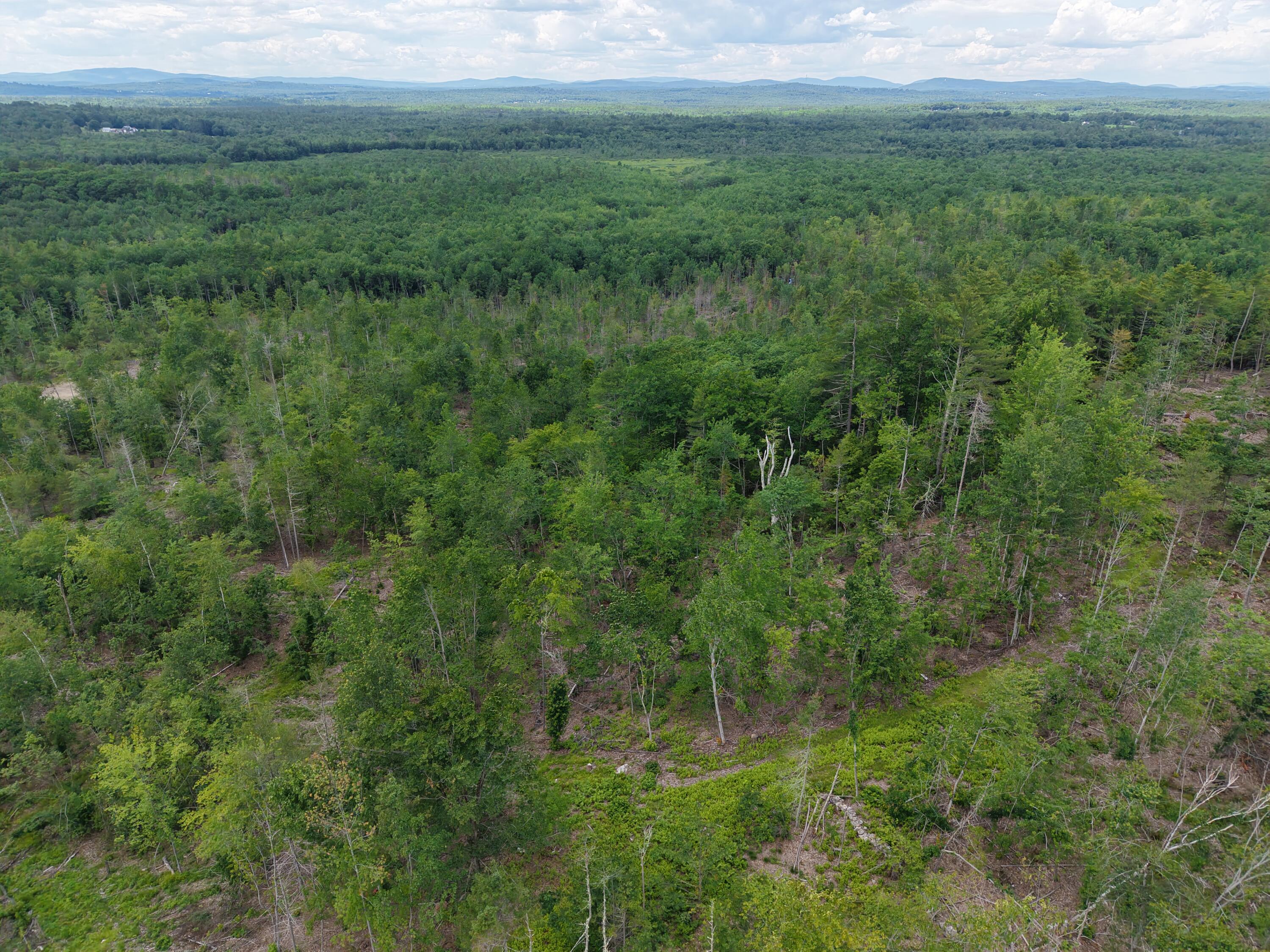 Multiple Quaker Ridge Road Property Photo 77