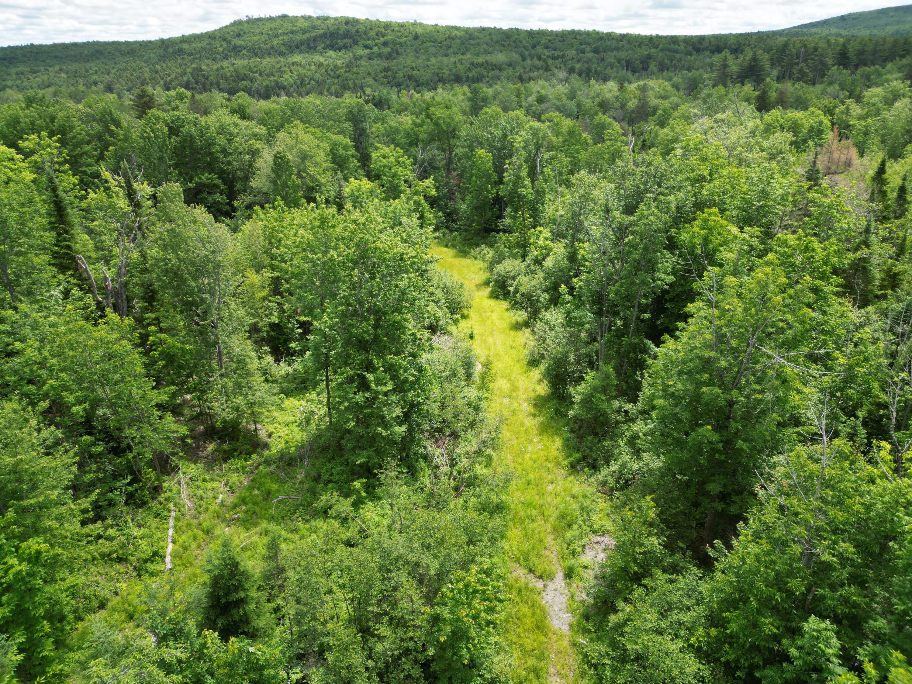 Lot 2 Main Road Property Photo 3