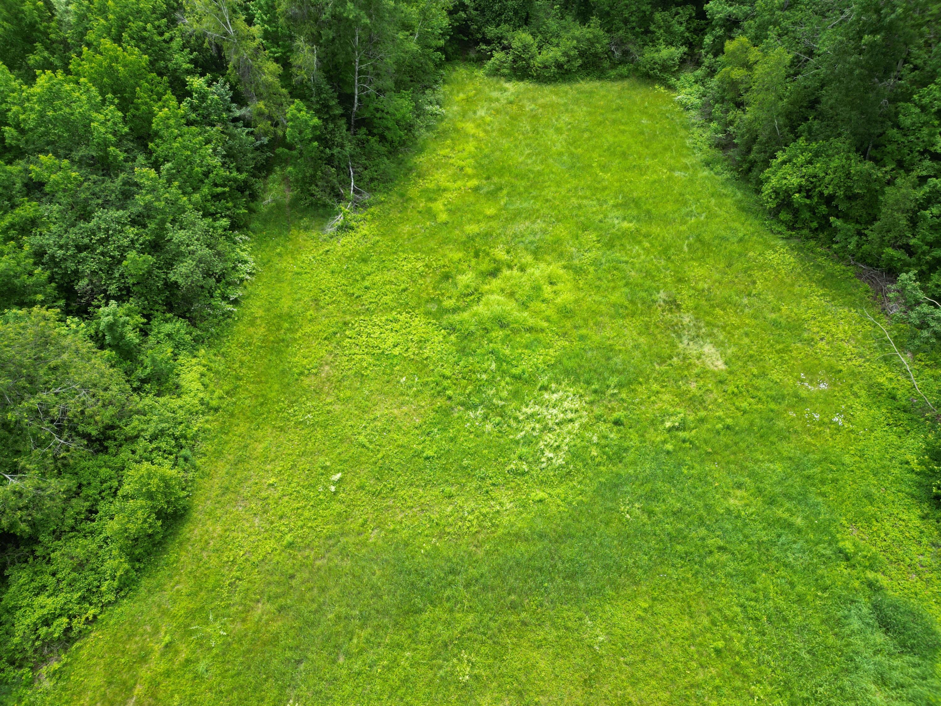 Lot 2 Main Road Property Photo 8