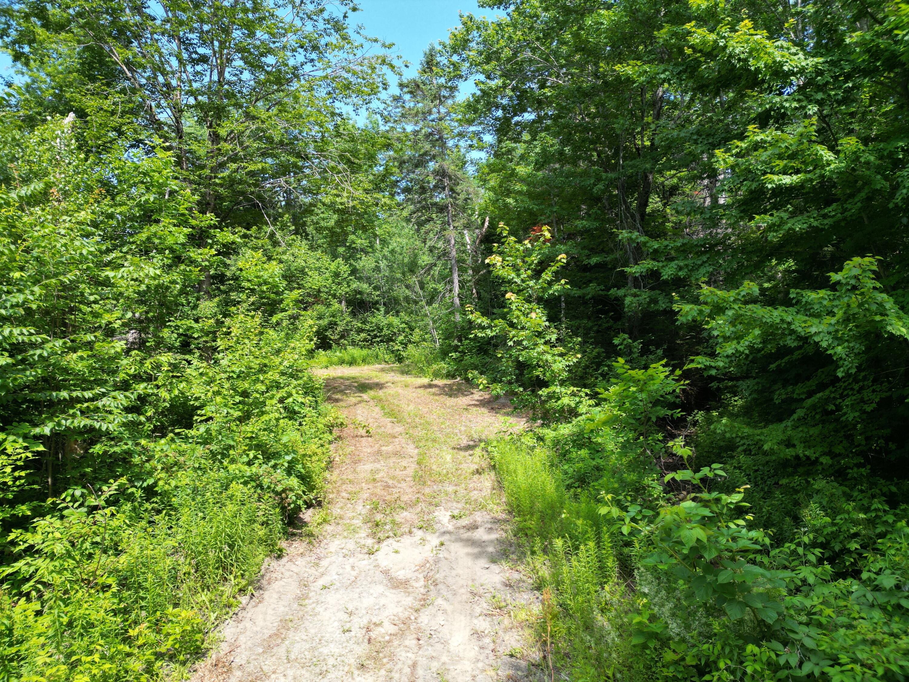 Lot 2 Main Road Property Photo 14