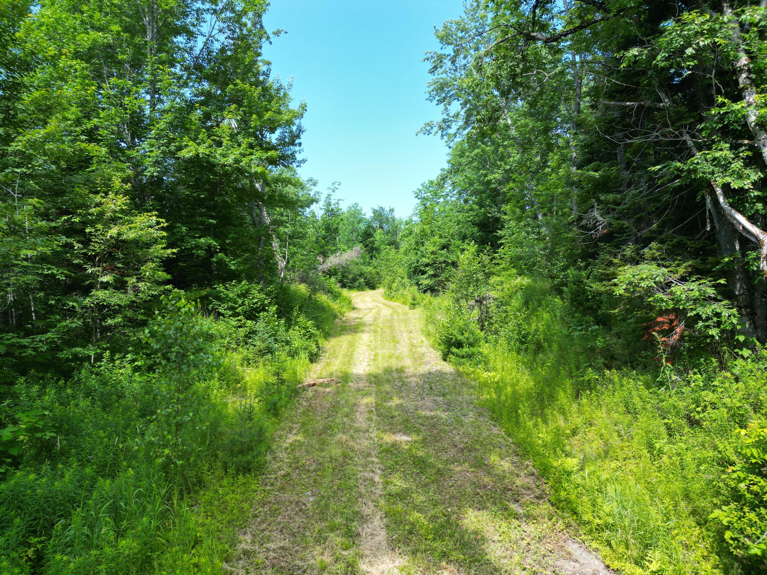 Lot 2 Main Road Property Photo 15