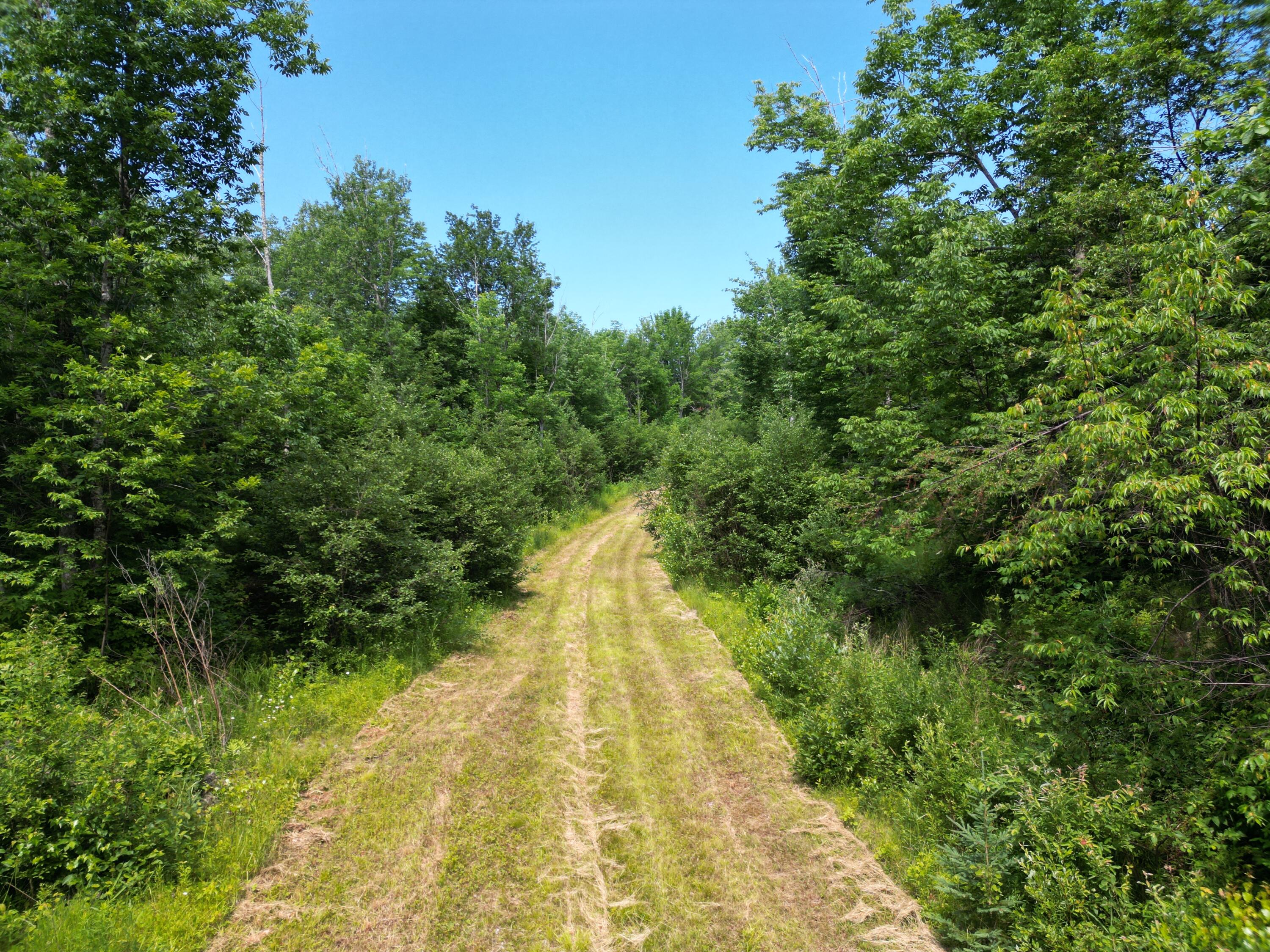 Lot 2 Main Road Property Photo 16