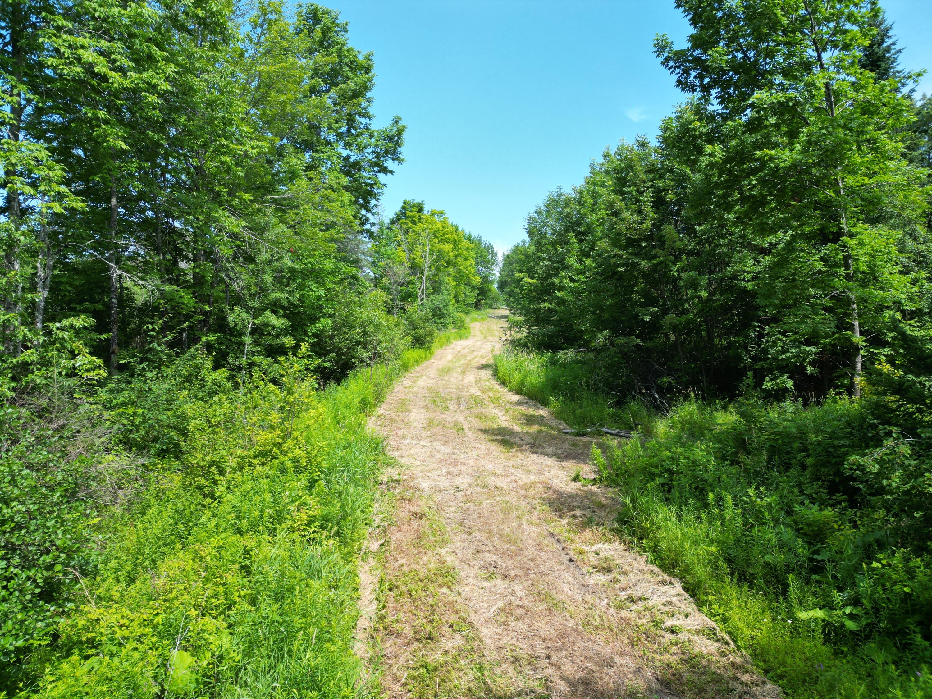 Lot 2 Main Road Property Photo 21