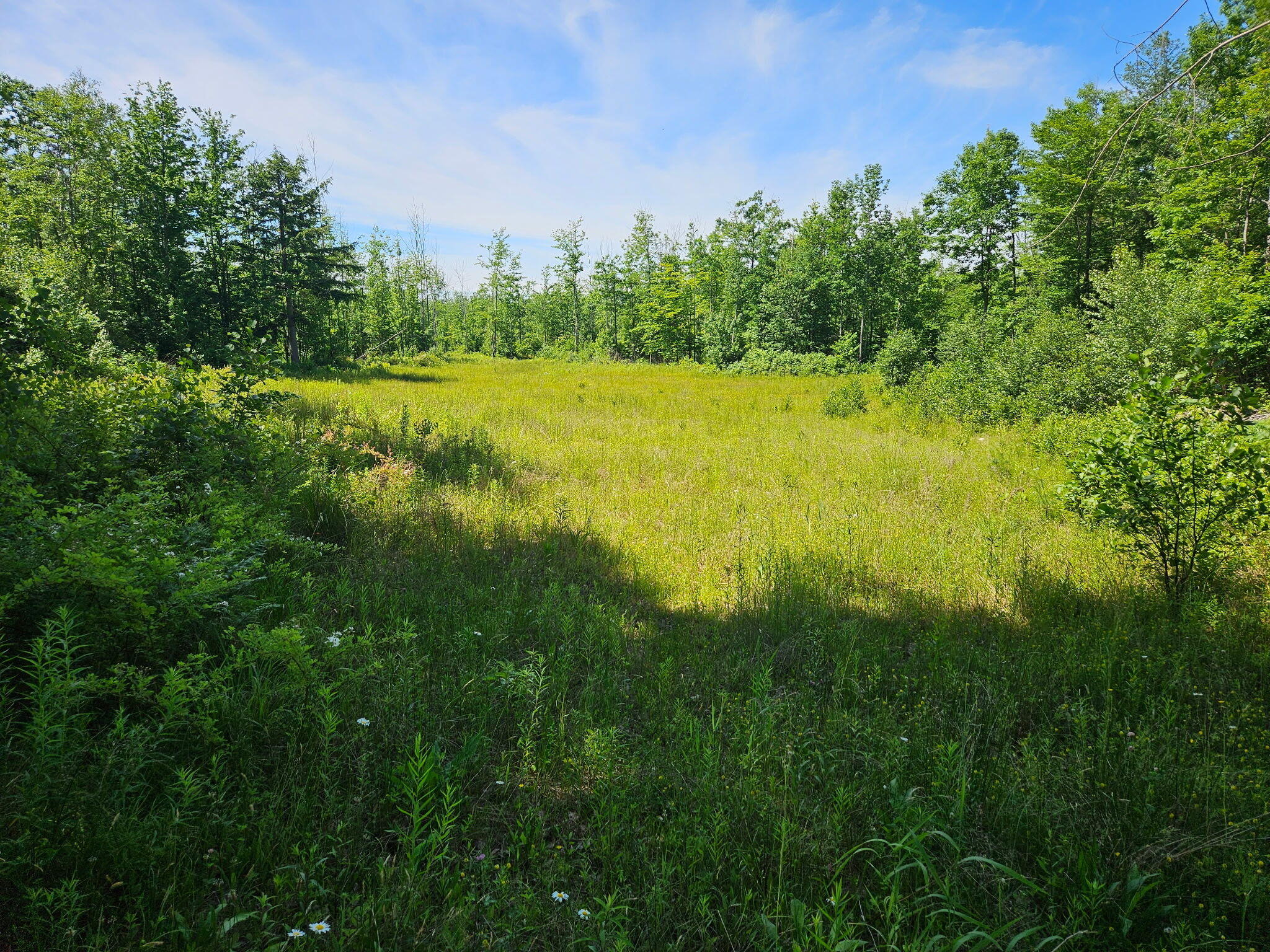 579 Maple Ridge Road Property Photo 1