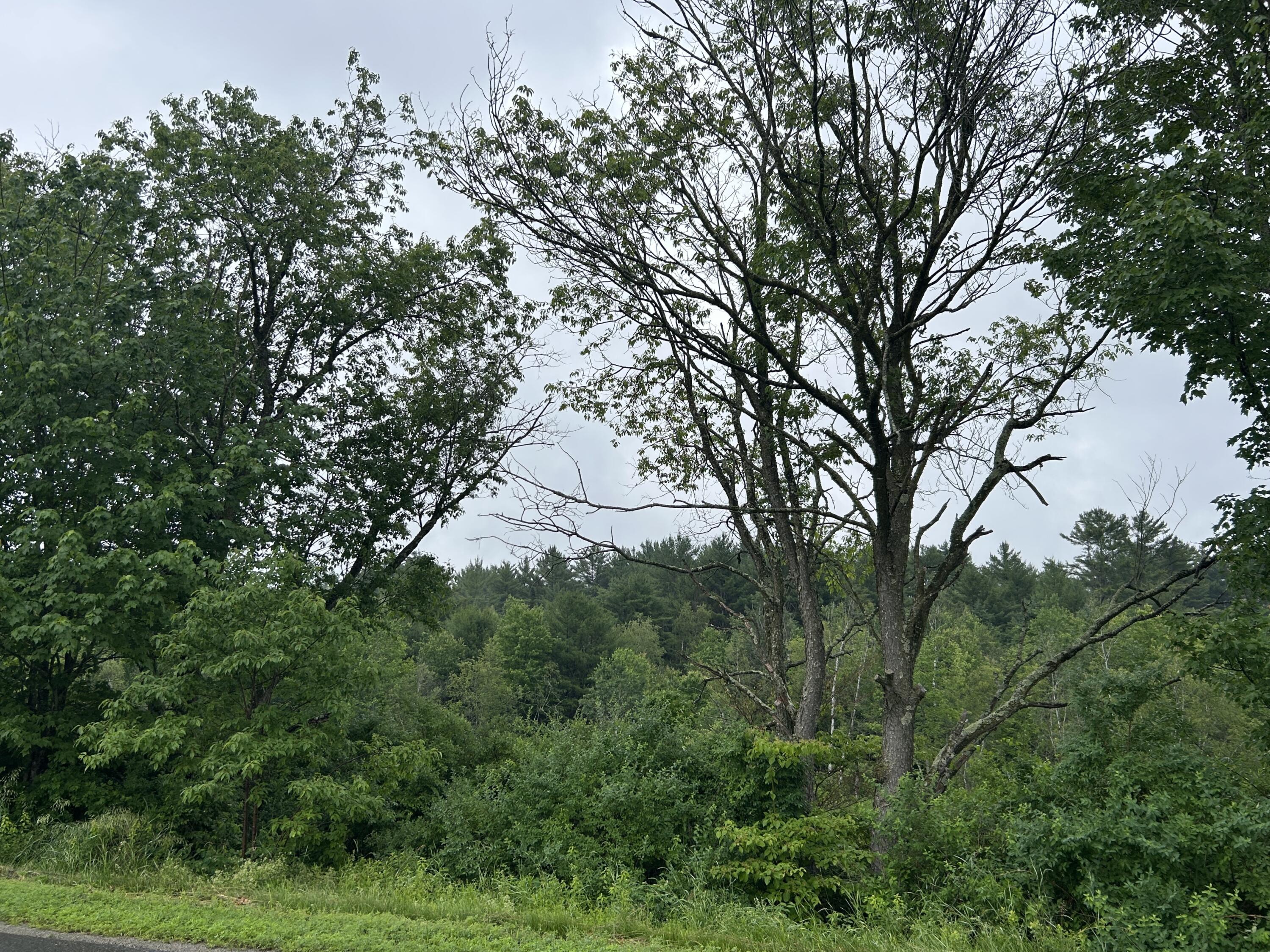 Lot 6 7 Property Photo 4