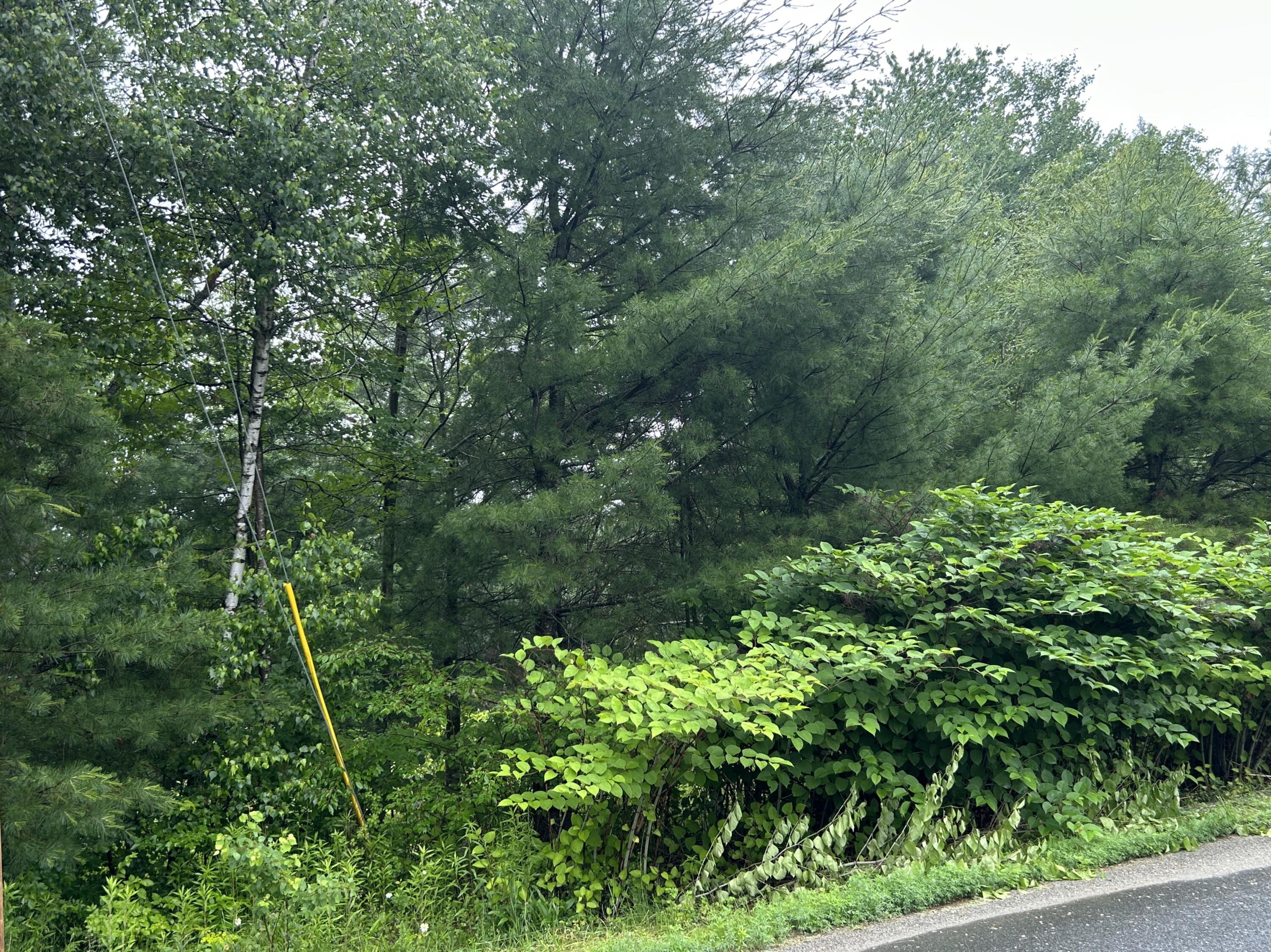 Lot 6 7 Property Photo 6
