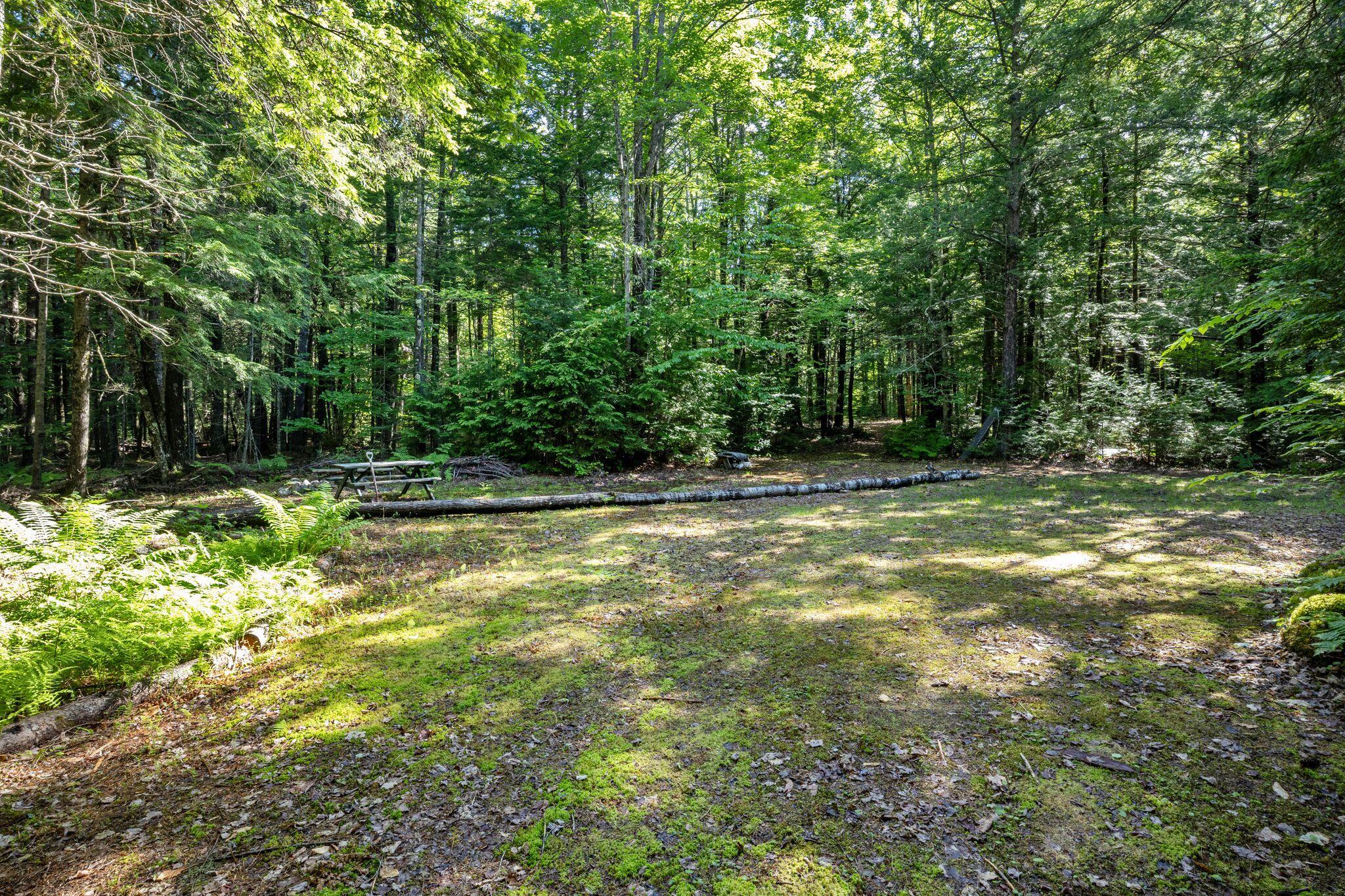 129 Hobbs Swamp Road Property Photo 9