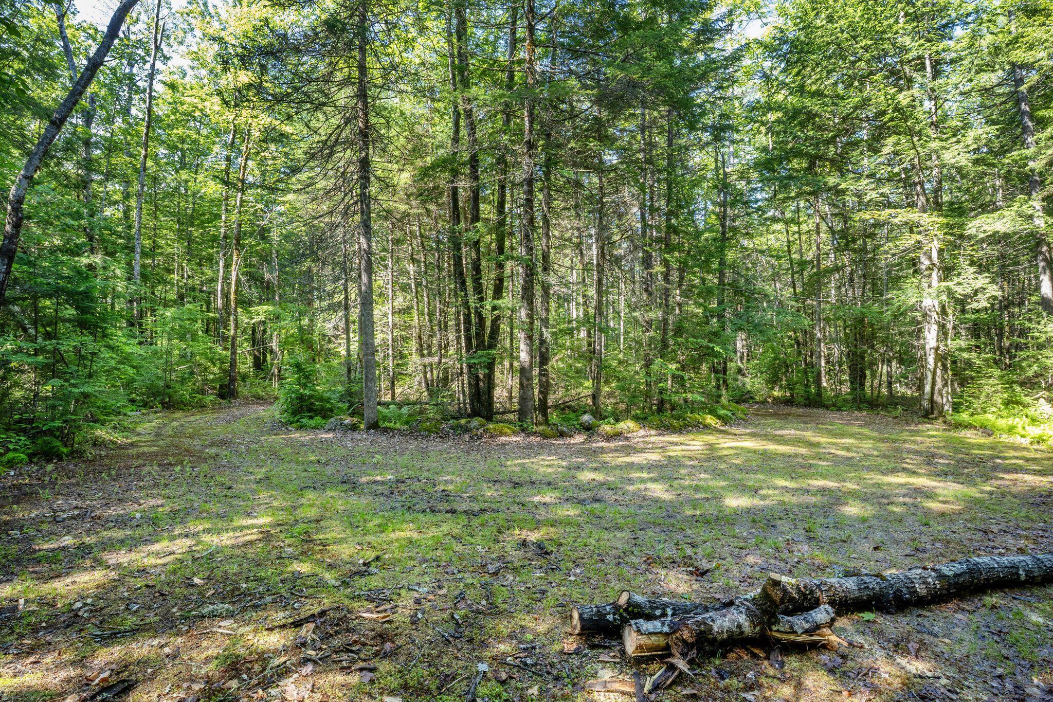 129 Hobbs Swamp Road Property Photo 10