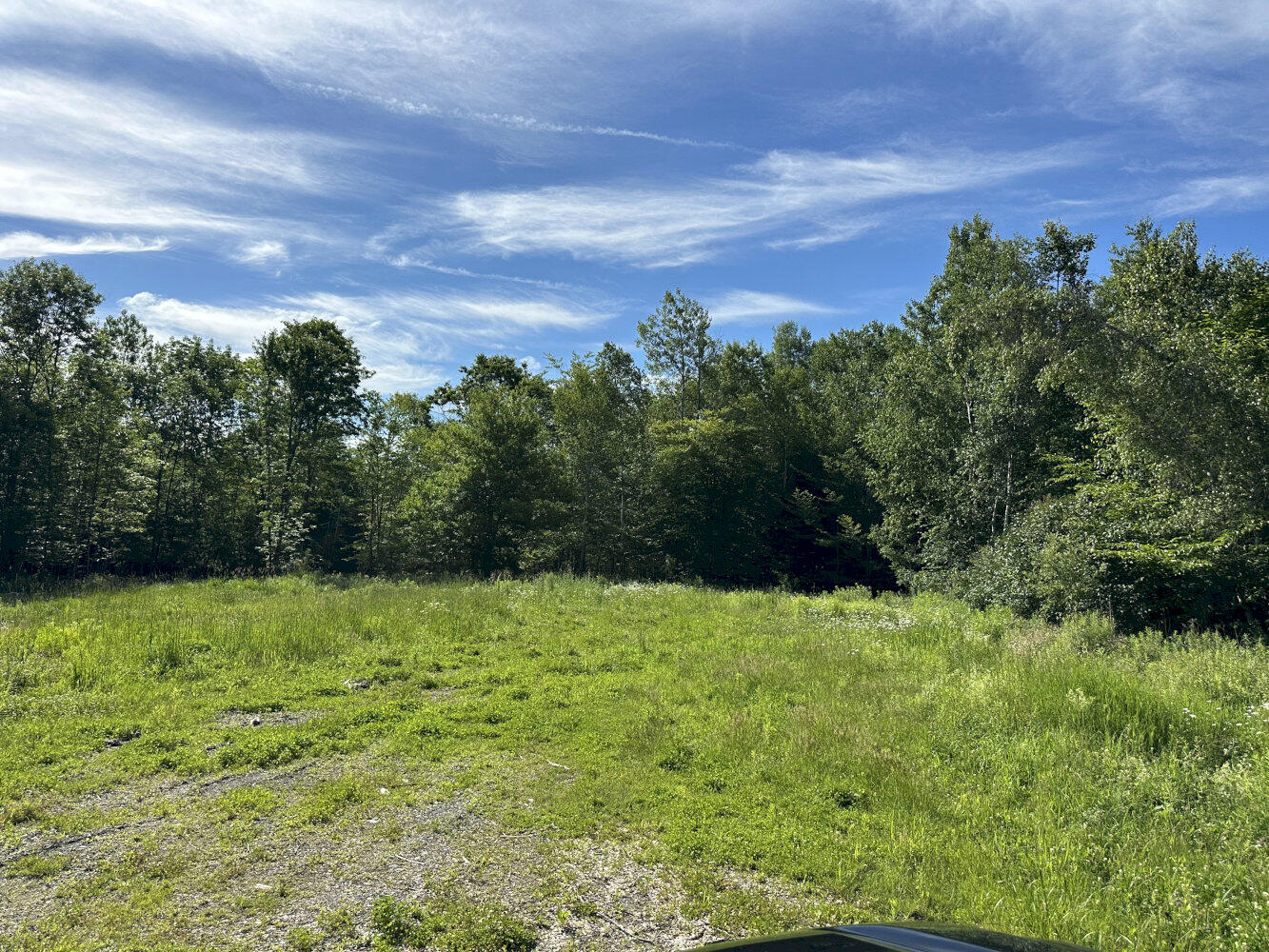 84 Willow Street Property Photo 4