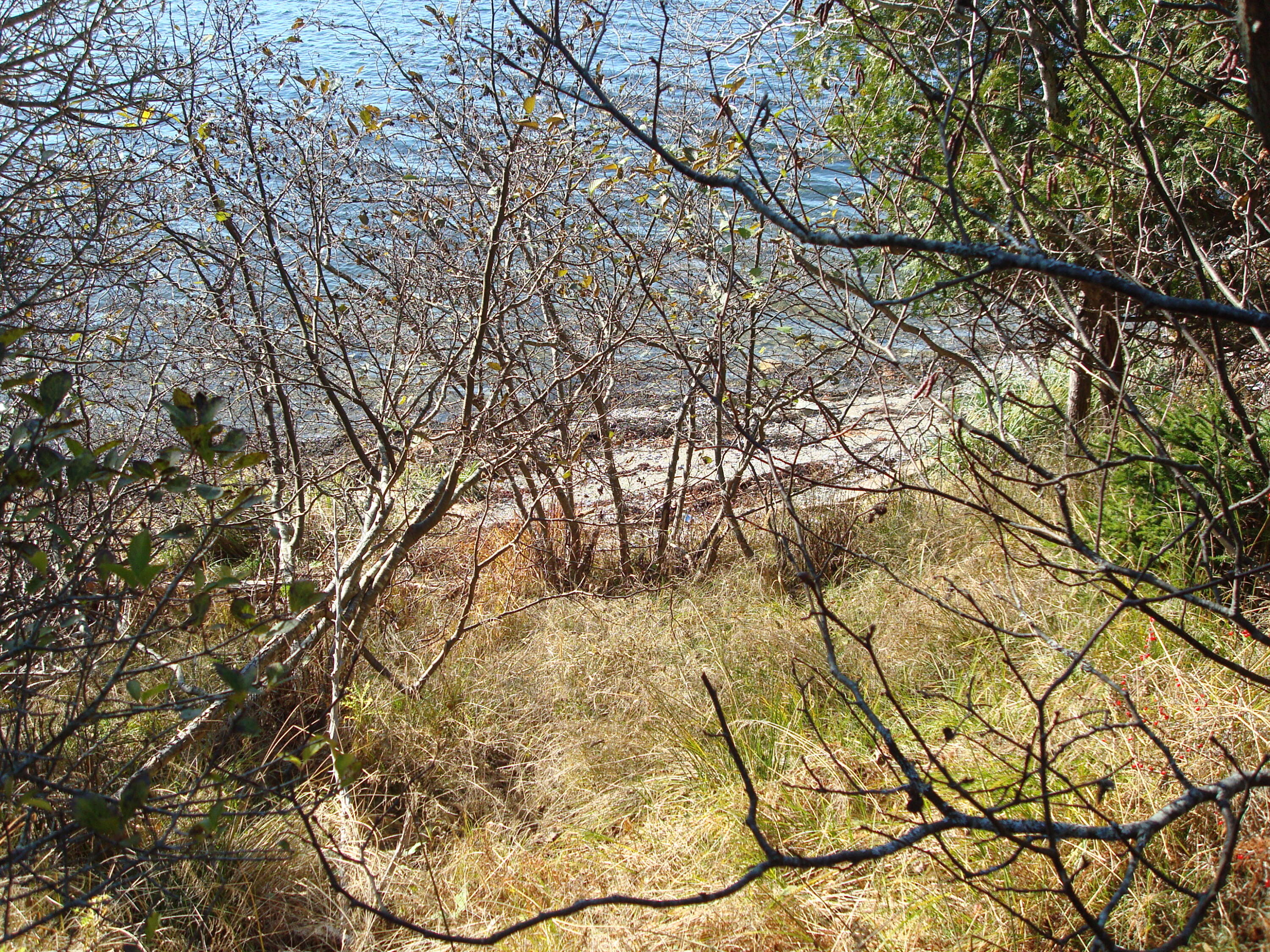 M26 Property Photo 21