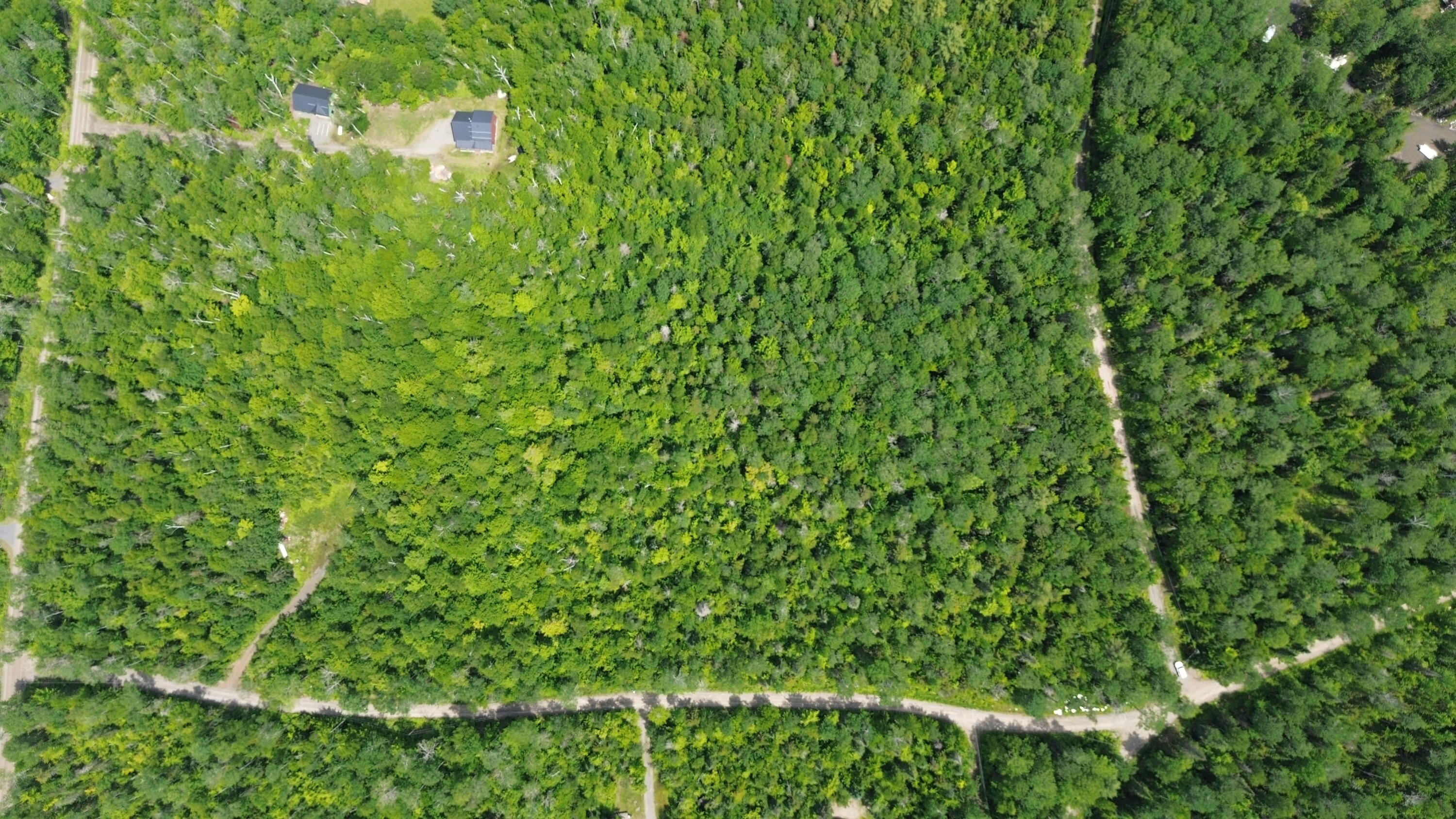 Lot 11 Moose Road Property Photo 4