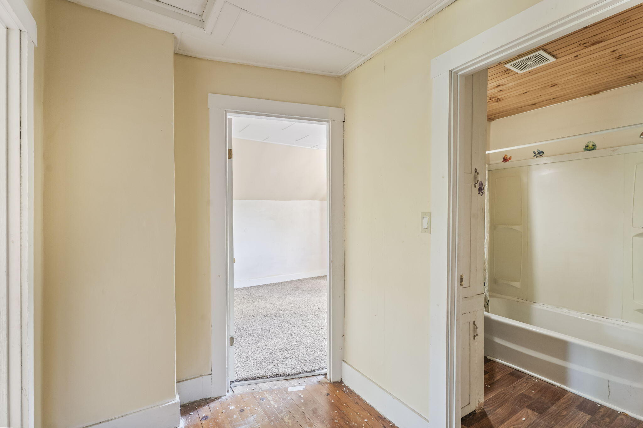 32 Clinton Street Property Photo 22