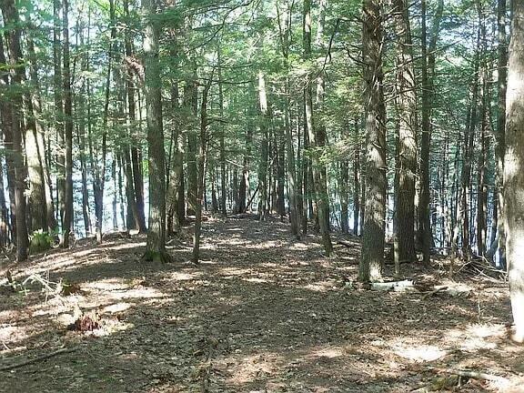 Lot 36-5 Union Falls Road Property Photo 4