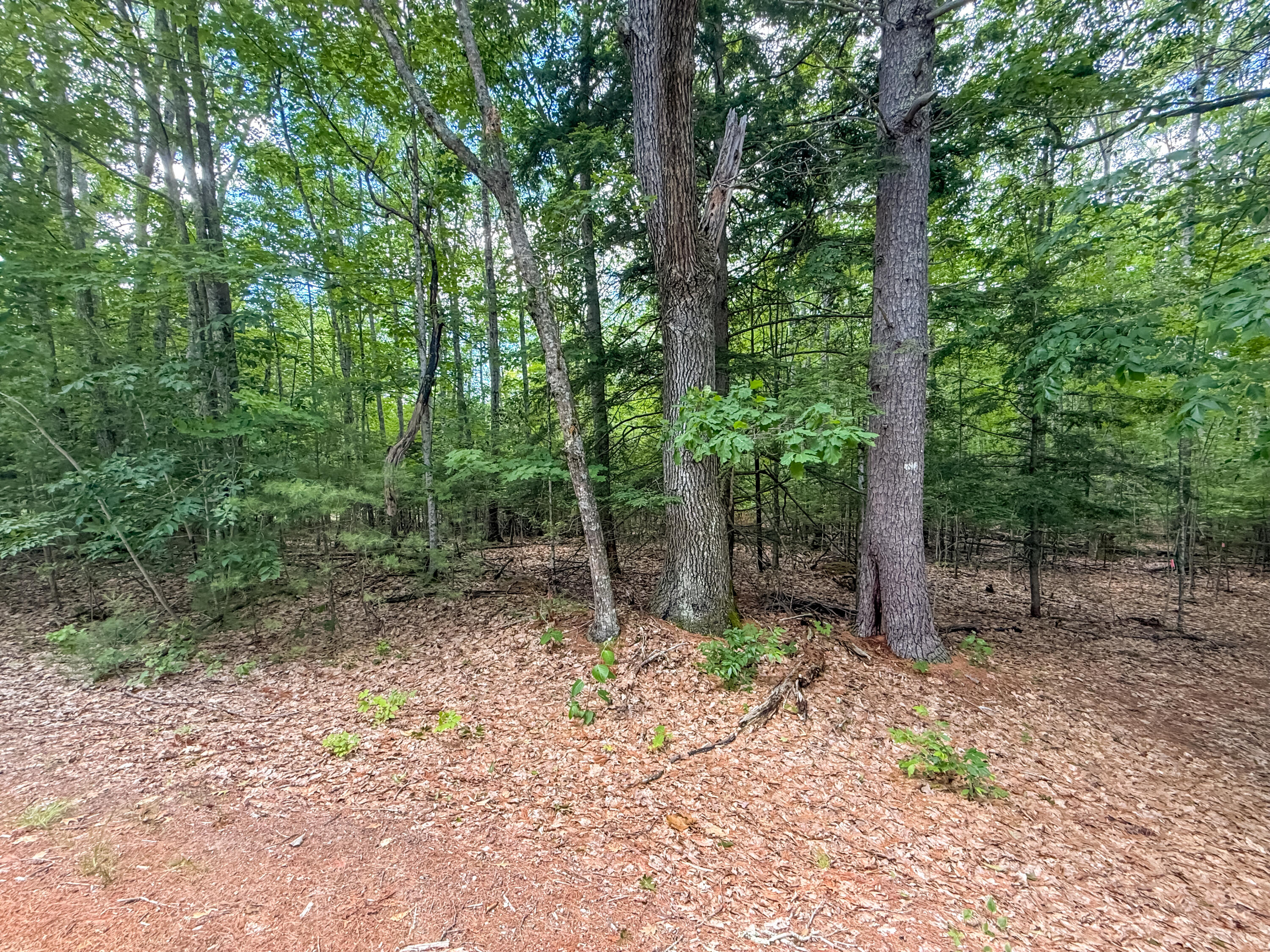 Lot 36-5 Union Falls Road Property Photo 6