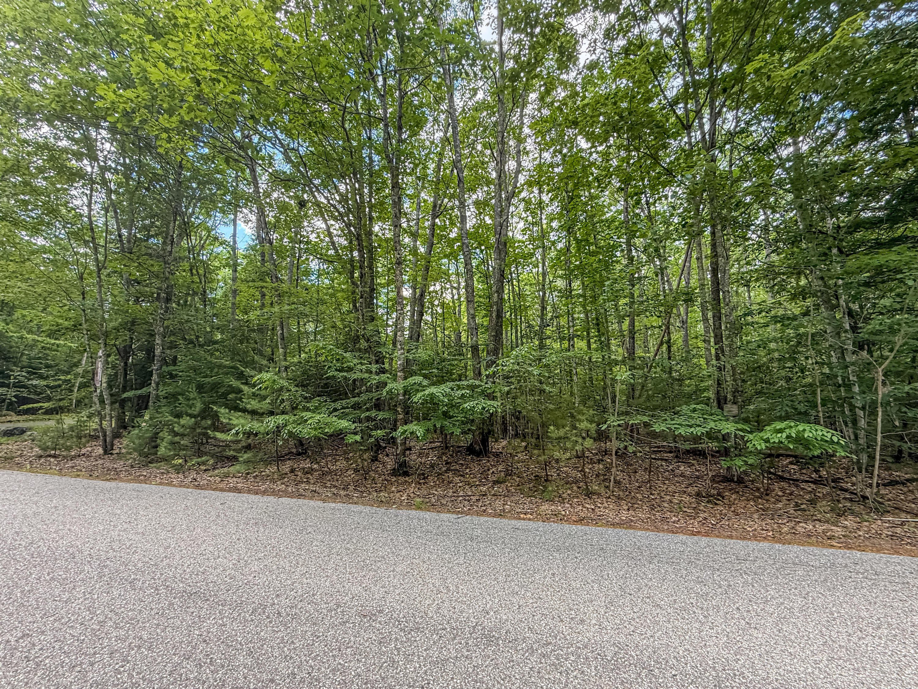 Lot 36-5 Union Falls Road Property Photo 7