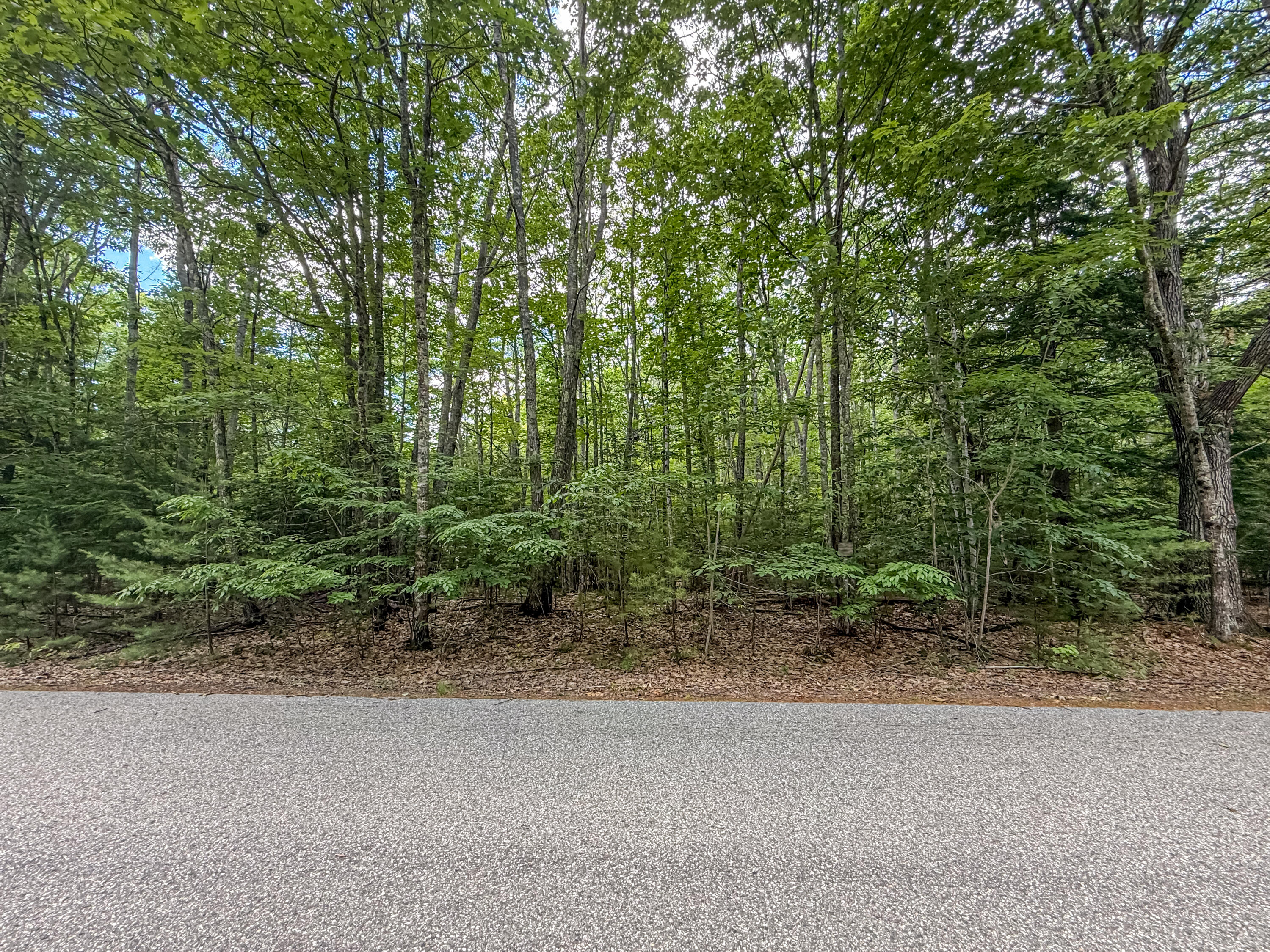 Lot 36-5 Union Falls Road Property Photo 8